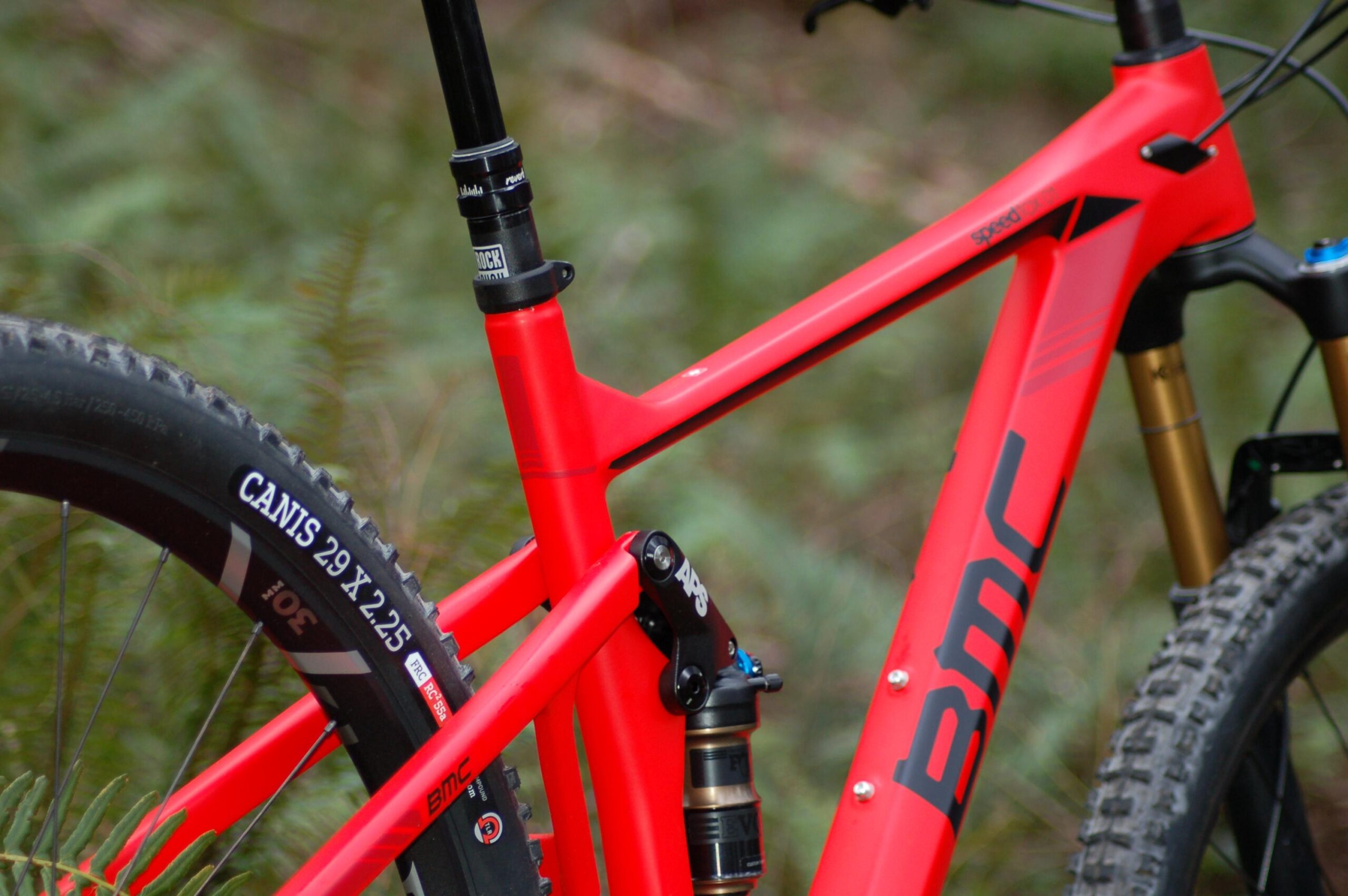 BMC Speedfox 01: Close-up of a bright red mountain bike's frame and rear suspension components, set against a blurred green background. The bike features a dropper post and robust tires labeled "CANIS 29 x 2.25." The frame prominently displays the BMC logo.