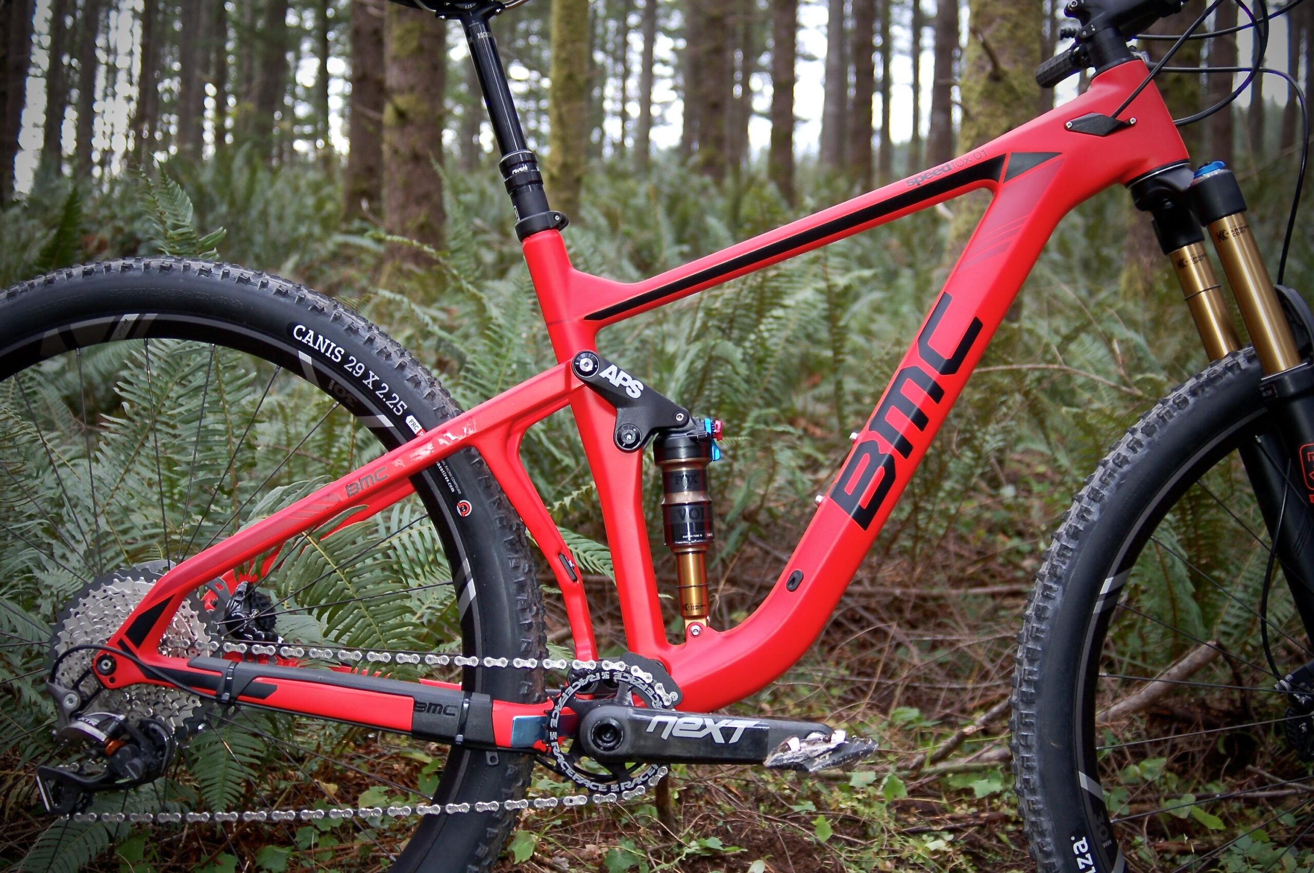 BMC Speedfox 01: A close-up view of a red mountain bike frame featuring the brand "BMC," set against a backdrop of lush green ferns and trees in a forested area. The bike showcases high-performance components, including a rear shock, chain, and specialized tires.