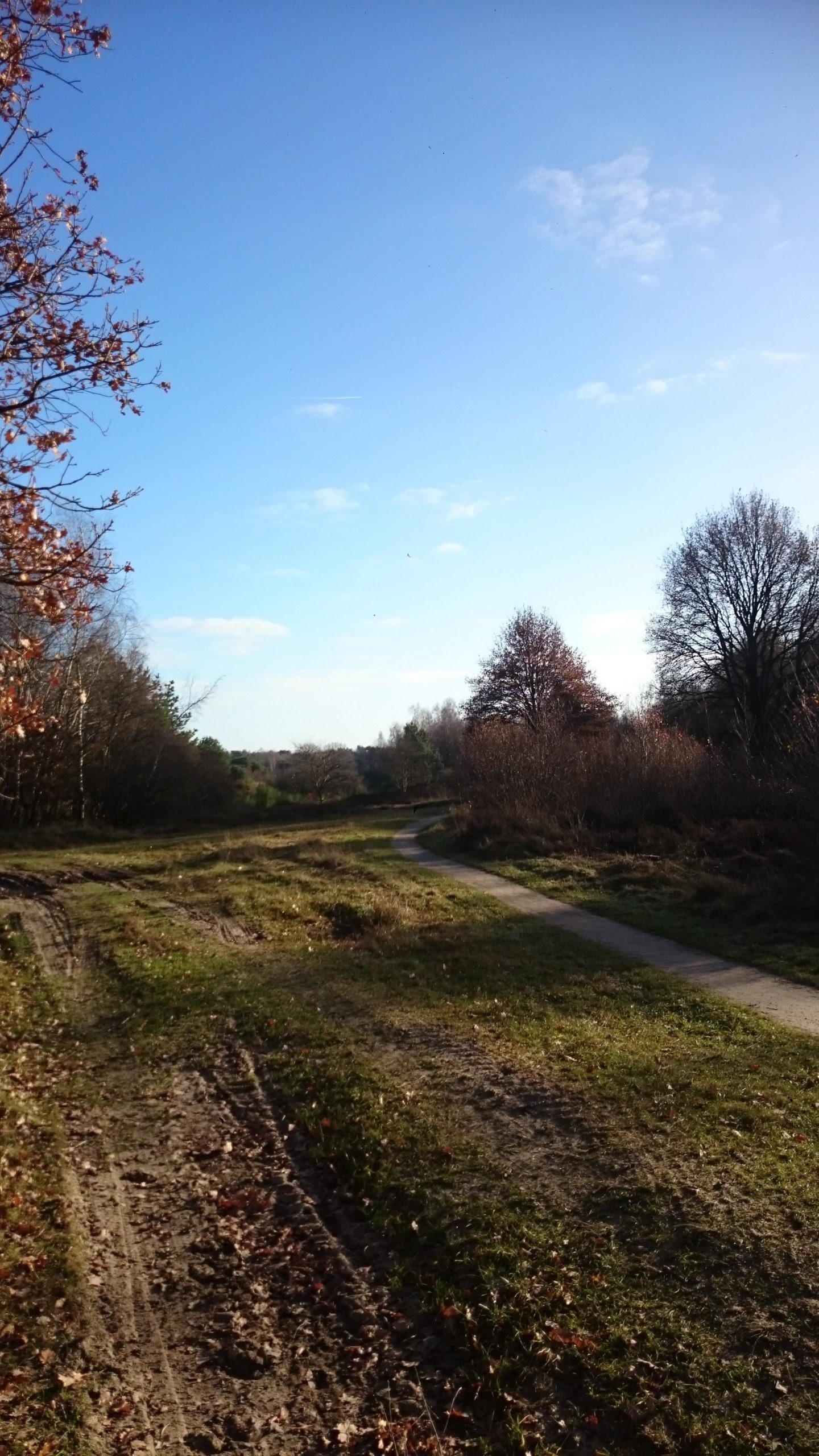 A scenic outdoor view featuring a winding pathway surrounded by grassy fields and trees. The sky is clear with a few clouds, and some trees display autumn foliage. The landscape appears tranquil and inviting for a leisurely walk or nature exploration. Holtigerveld mountain bike trail.