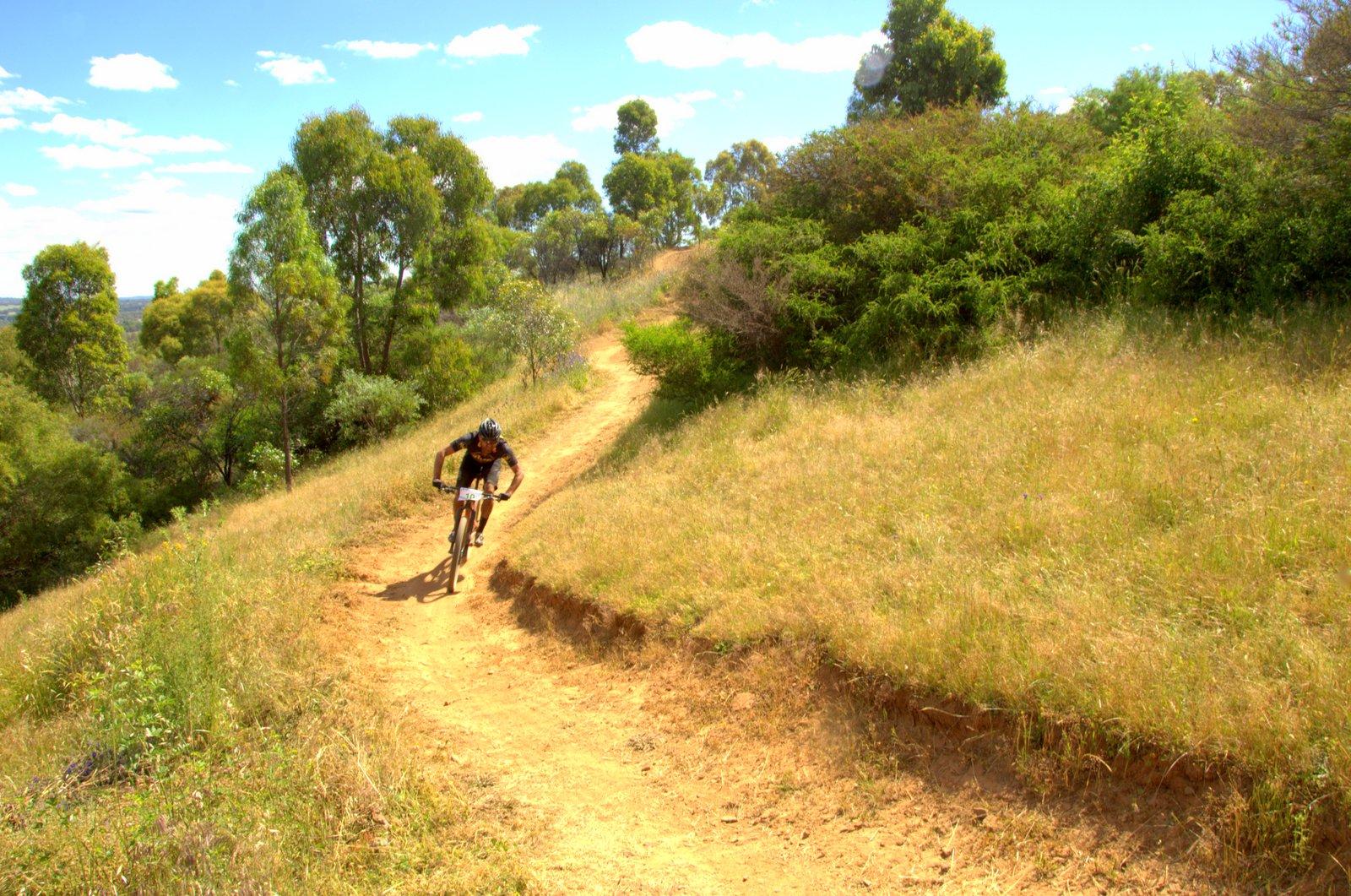 A mountain biker riding on a dirt trail surrounded by greenery and trees under a bright blue sky with scattered clouds. The trail curves along a hillside, suggesting a challenging outdoor adventure. Andy