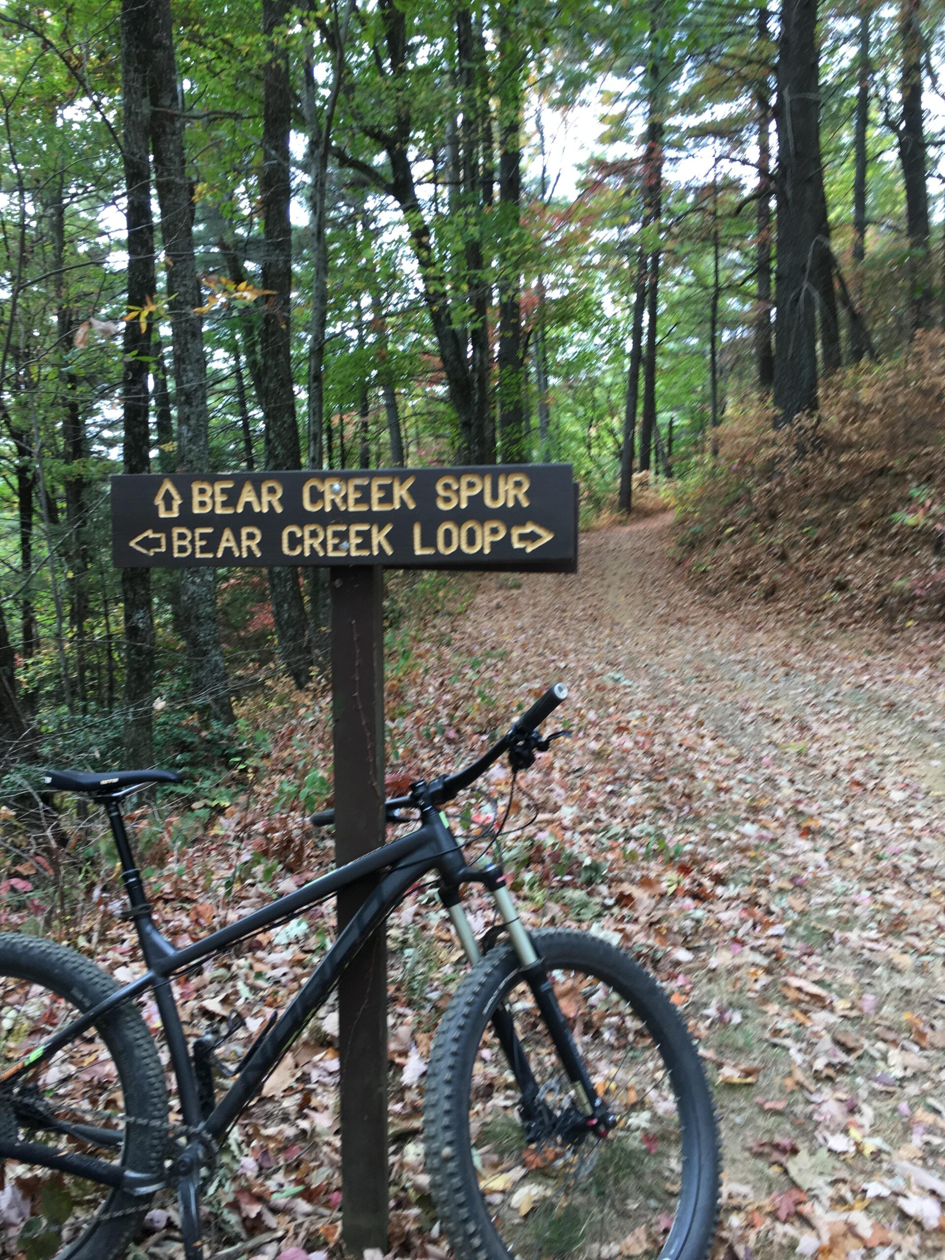 Norco Torrent 7: Mountain bike leaning against a trail sign directing to Bear Creek Spur and Bear Creek Loop, surrounded by trees and fallen leaves in a forested area.