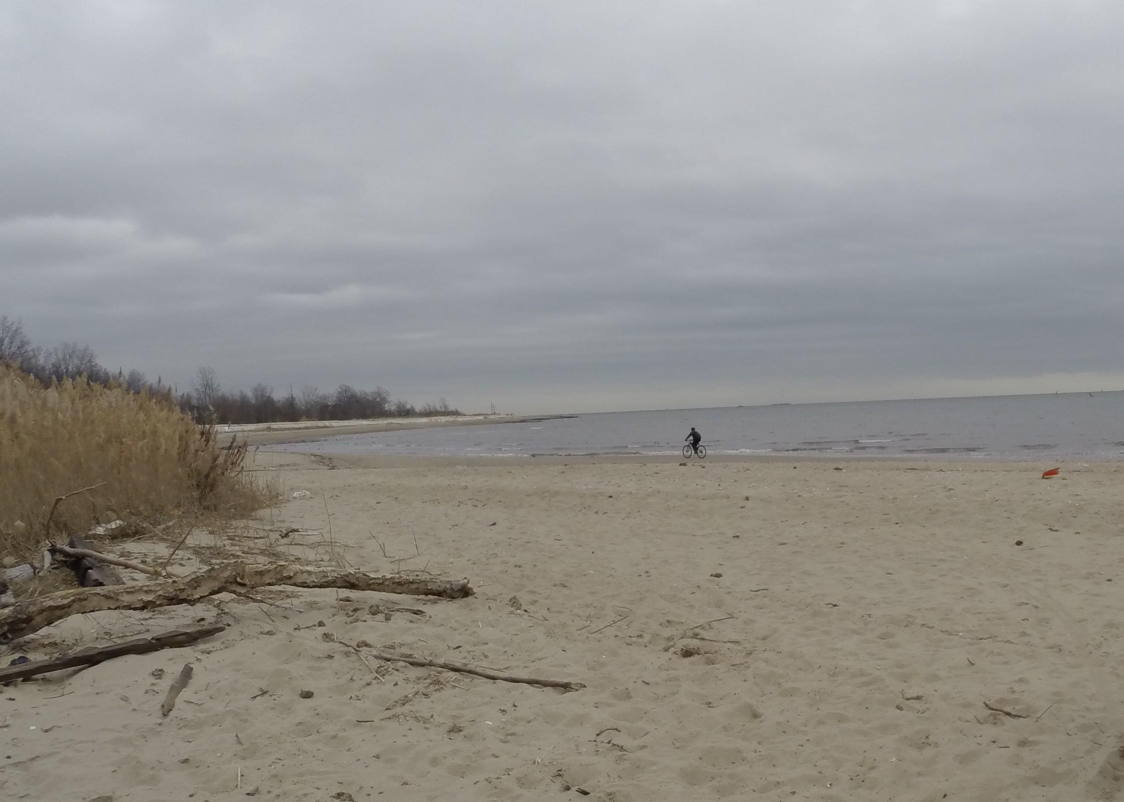 A sandy beach with a cloudy sky and calm water, featuring a person riding a bicycle along the shoreline. In the foreground, there are dried grasses and a few scattered branches on the sand. Beach Long Pond Area mountain bike trail.