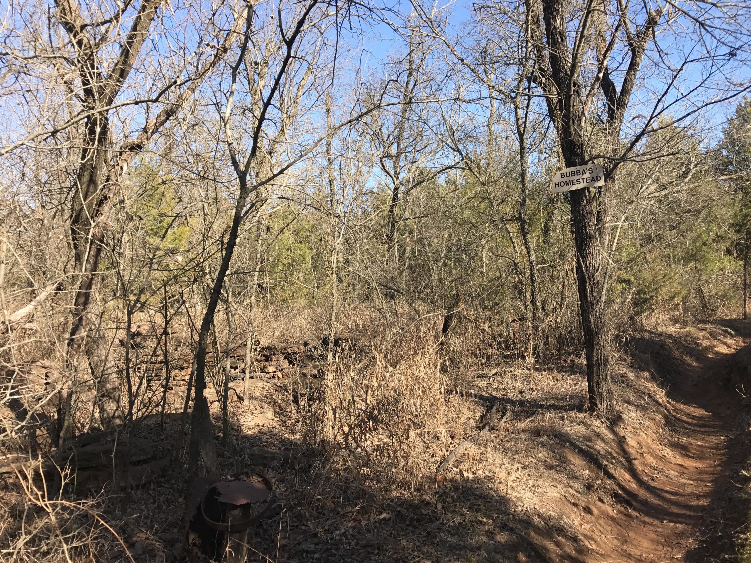 A wooded area with bare trees and dry foliage, featuring a sign on a tree that reads "Bubba's Homestead." A dirt path winds through the scene, leading into the natural landscape. The sky is clear and blue, indicating a sunny day. Lake Stanley Draper mountain bike trail.