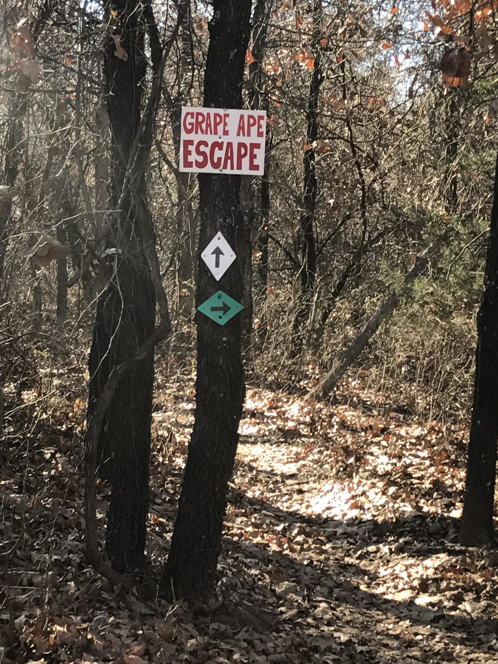 A sign reading "GRAPE APE ESCAPE" attached to two trees along a wooded trail, with directional arrows pointing left and straight. The ground is covered with fallen leaves, and there are sparse trees in the background. Lake Stanley Draper mountain bike trail.