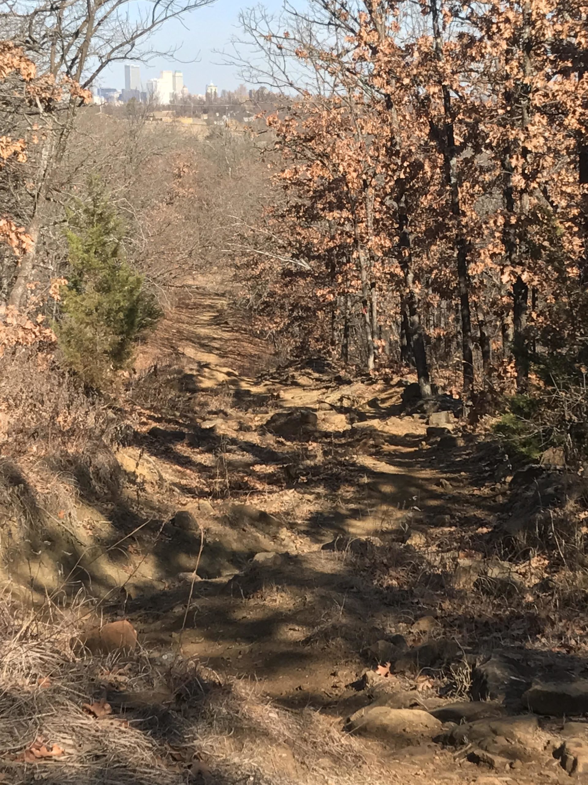 A dirt trail winding through a forest, surrounded by bare trees with a few remaining brown leaves. In the background, city buildings are faintly visible against a clear blue sky. The trail is rocky and uneven, indicating natural use in a wooded area. Turkey Mountain mountain bike trail.