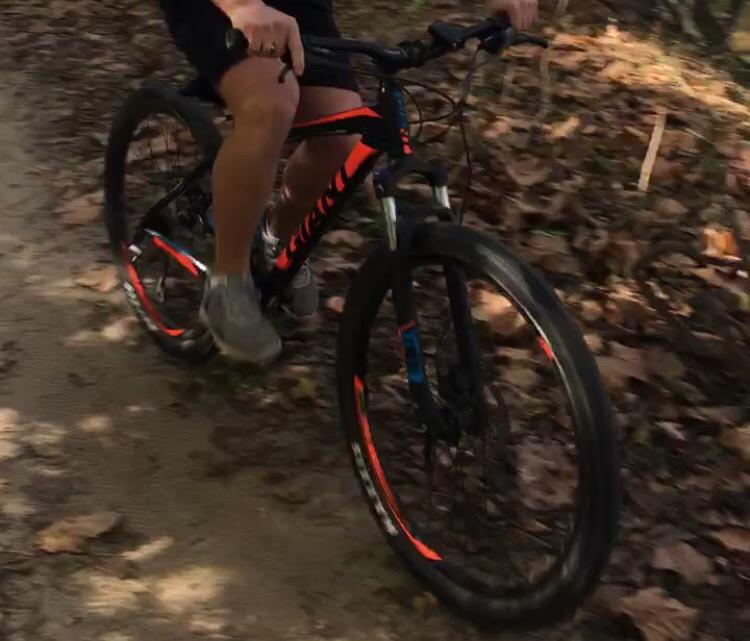 2017 Giant Talon 3: A person riding a mountain bike along a dirt path covered with fallen leaves. The bike features a black frame with orange accents, and the rider is wearing shorts and sporting gray athletic shoes.