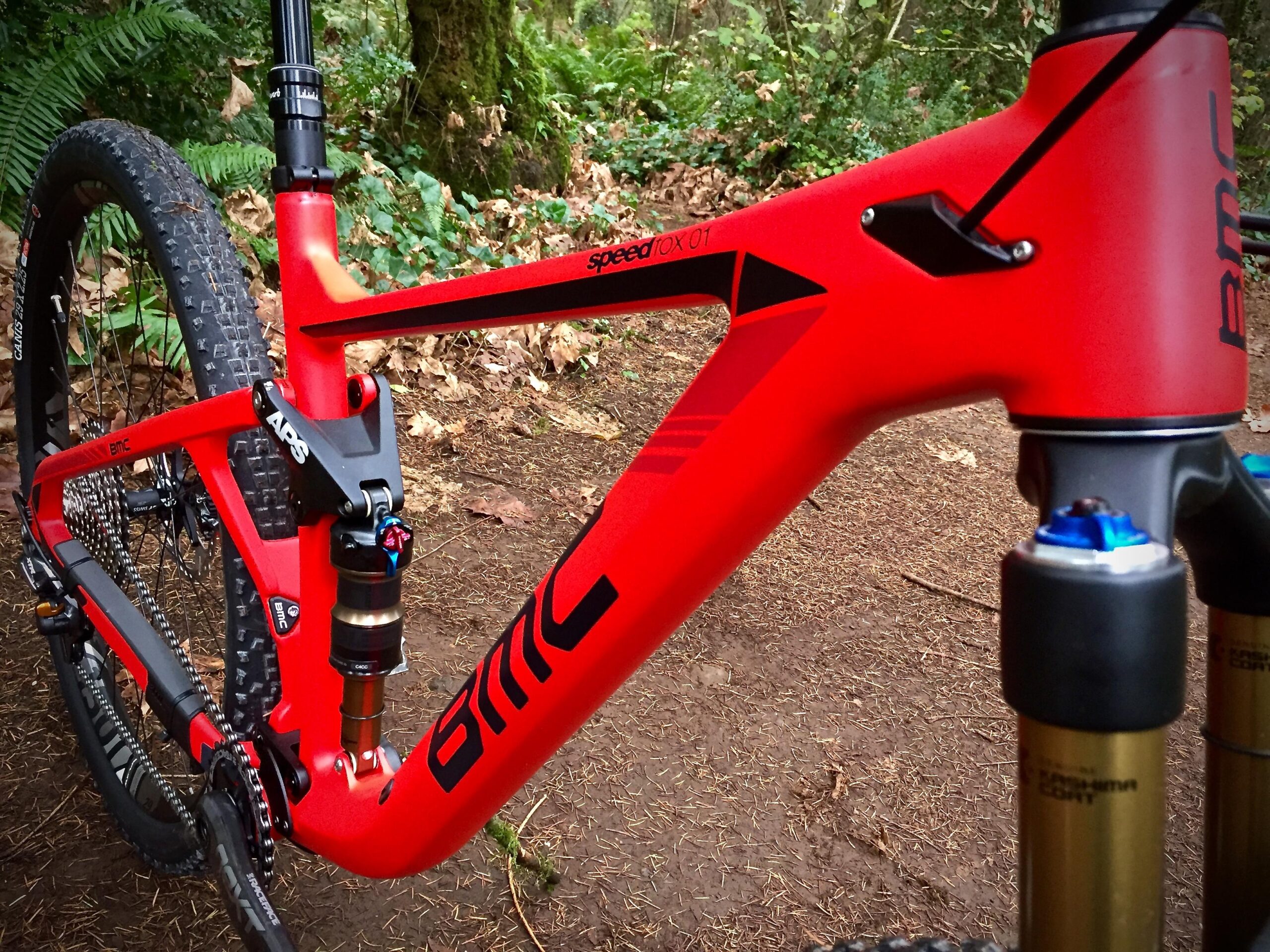 BMC Speedfox 01: A close-up view of a red BMC mountain bike frame, showcasing its modern design and components. The bike is positioned on a forest trail with lush greenery and fallen leaves in the background. Features such as the suspension system and gearing mechanism are visible, highlighting the bike's performance-oriented design.