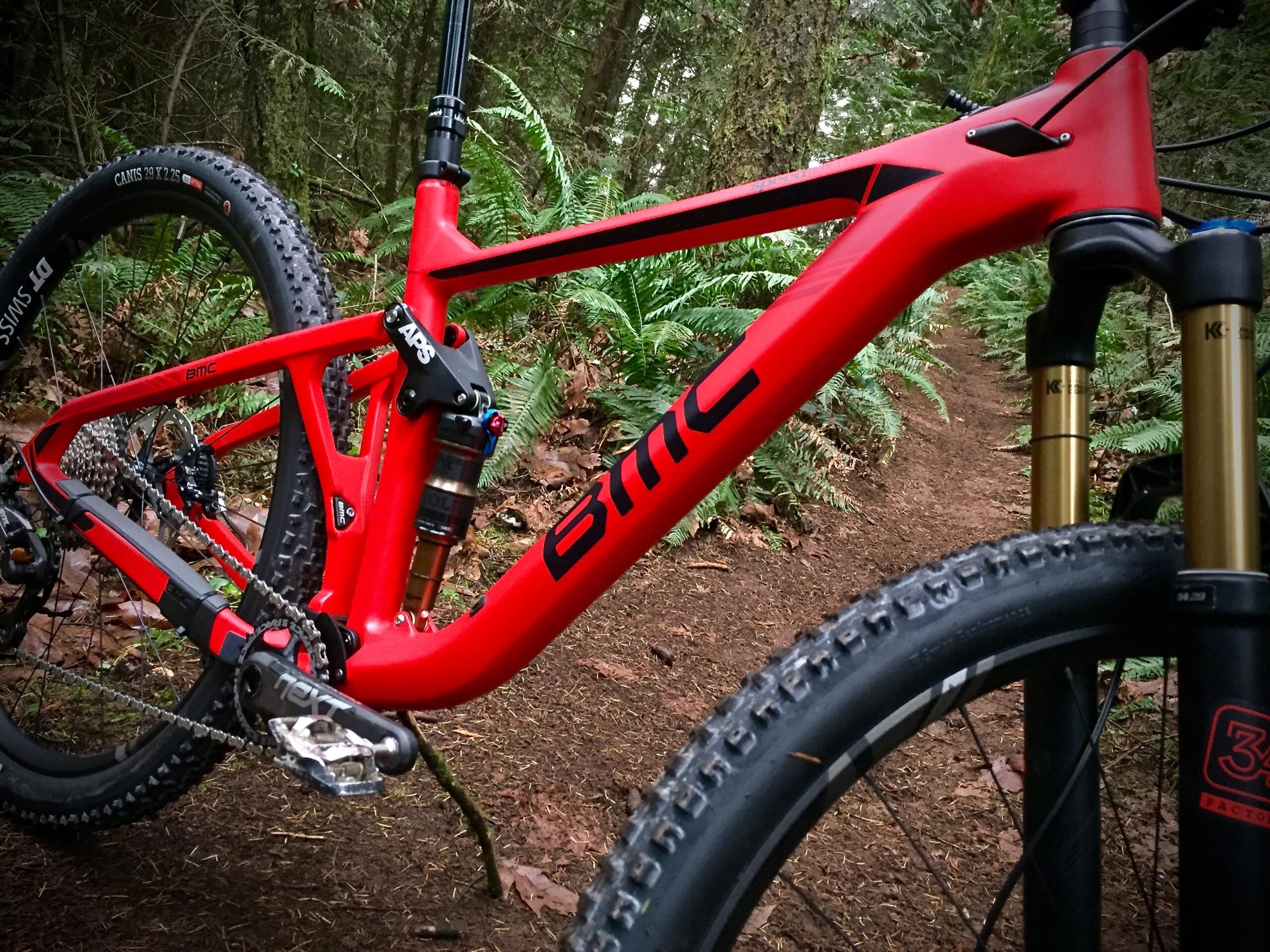 BMC Speedfox 01: A close-up view of a red BMC mountain bike positioned on a dirt trail surrounded by lush greenery. The bike features a lightweight frame, high-performance suspension components, and rugged tires, ideal for off-road cycling.