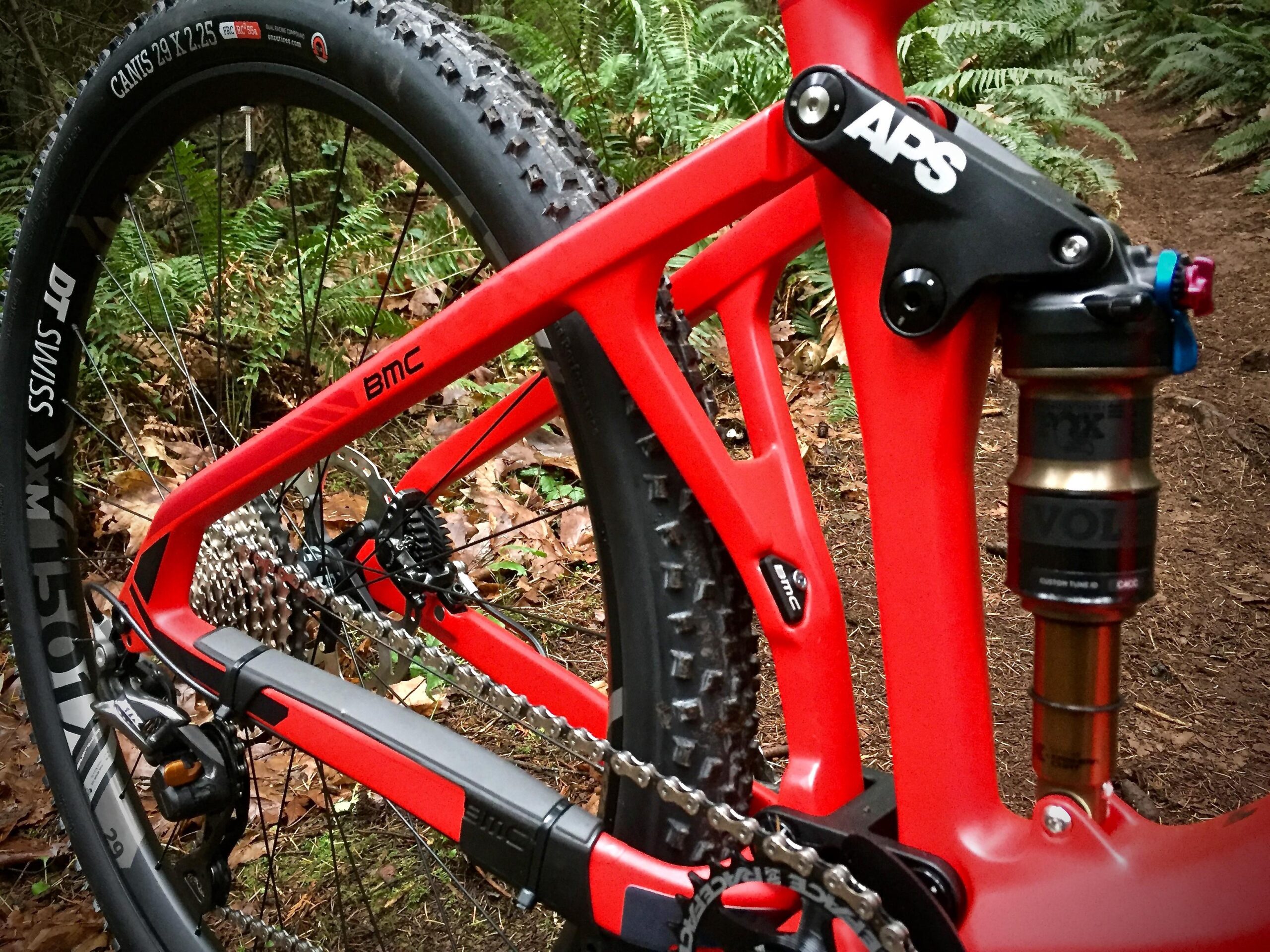 BMC Speedfox 01: Alt text: Close-up view of a red mountain bike frame with visible branding, featuring a suspension system and chain. The background shows a forest floor with ferns and fallen leaves.