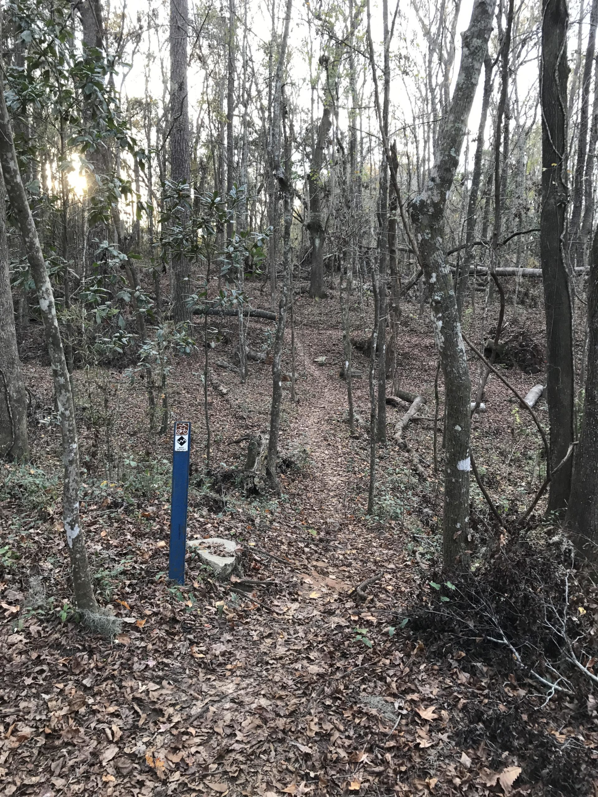 A wooded trail leading through a forest with scattered leaves and a blue trail marker post visible on the left. The sunlight is softly filtering through the trees in the background, creating a serene outdoor atmosphere. Cadillac mountain bike trail.