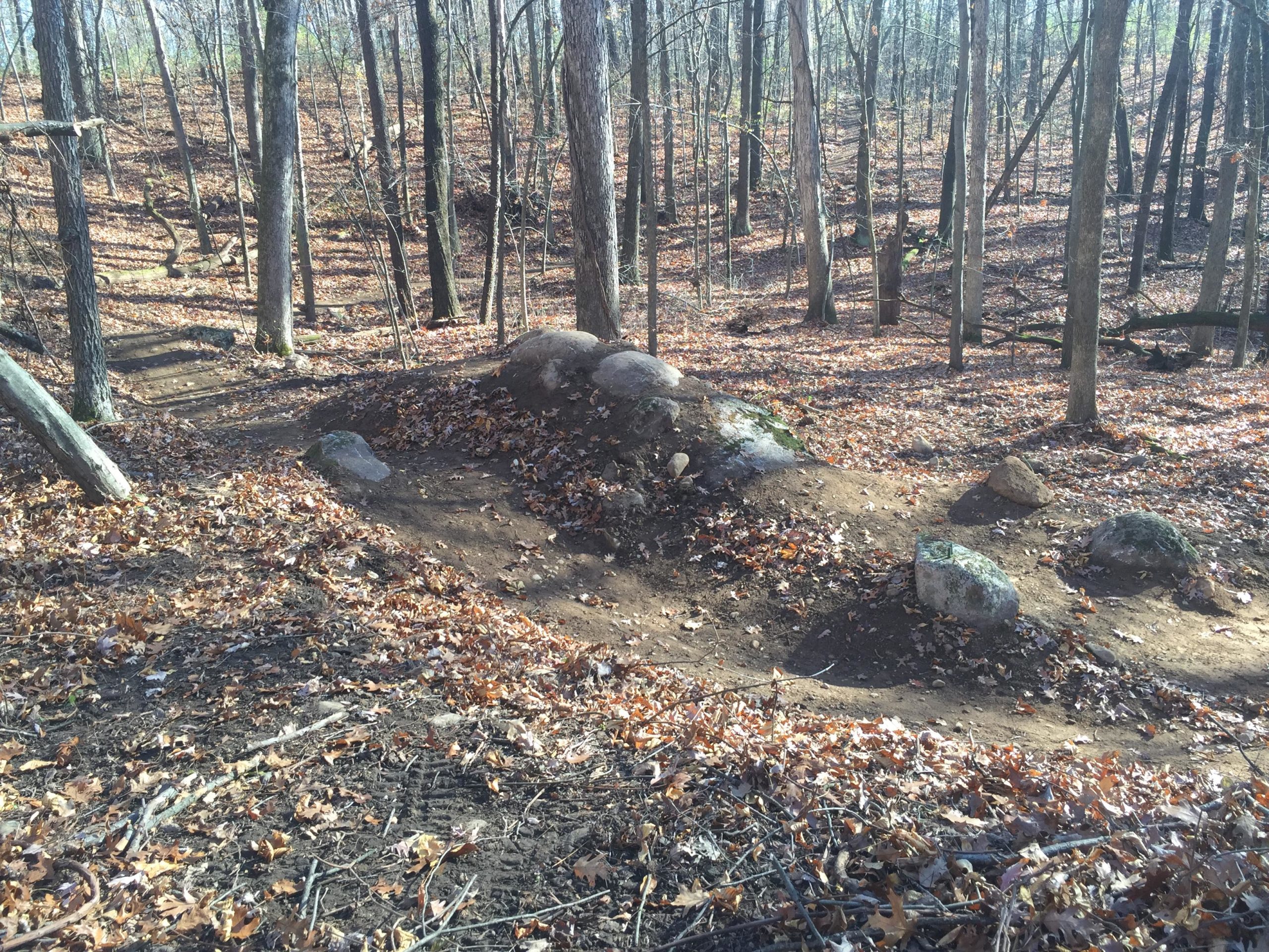 A wooded area with a dirt path winding through fallen leaves and trees. In the foreground, a small dirt mound is visible, surrounded by several rocks. The landscape is tranquil and showcases the natural beauty of the forest during autumn. DTE Energy Foundation Trail mountain bike trail.