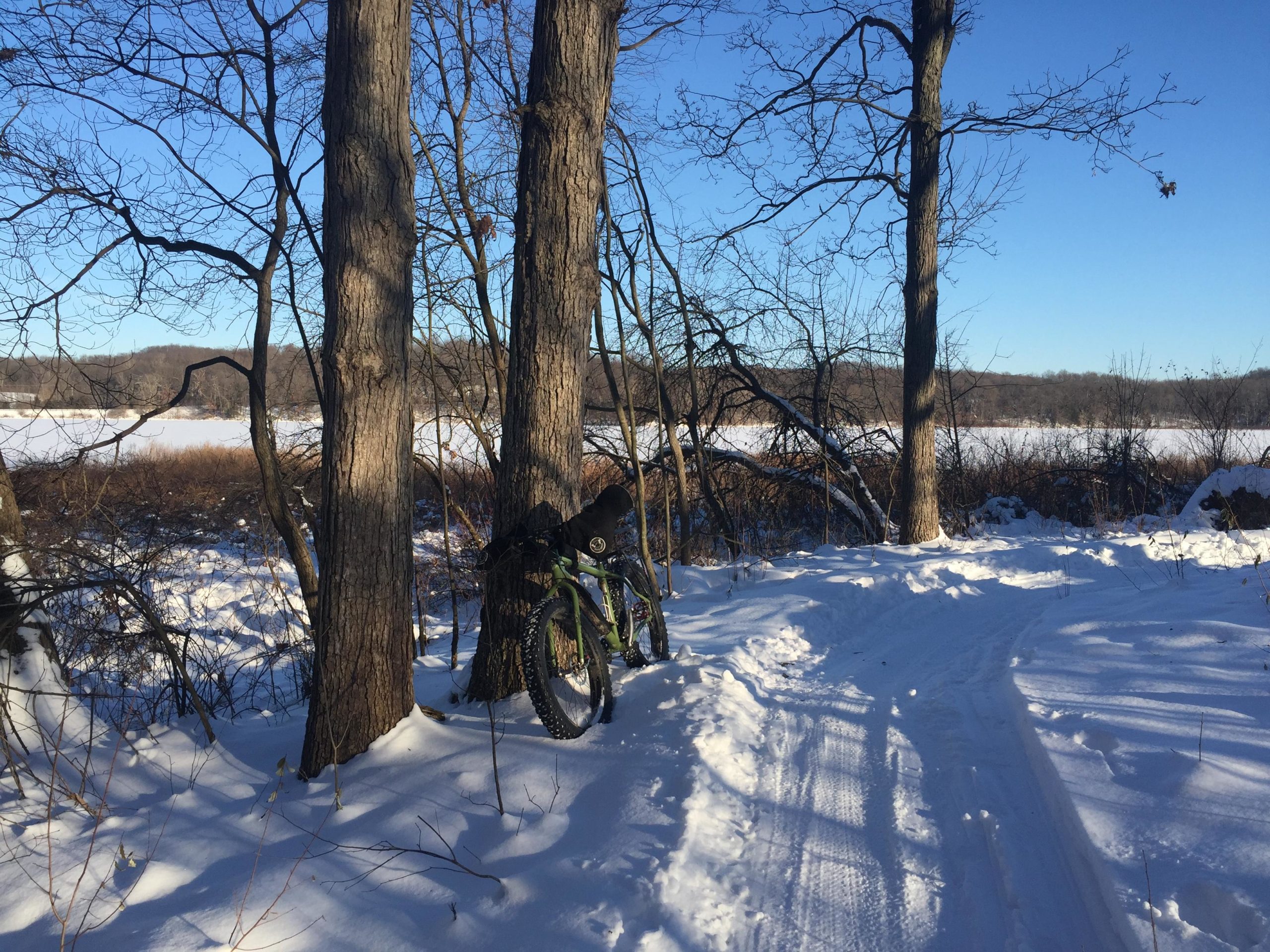 A winter landscape featuring two trees alongside a snow-covered path. A mountain bike leans against one of the trees, with a background of a frozen lake and distant hills under a clear blue sky. The scene captures a serene and outdoor snowy environment. DTE Energy Foundation Trail mountain bike trail.