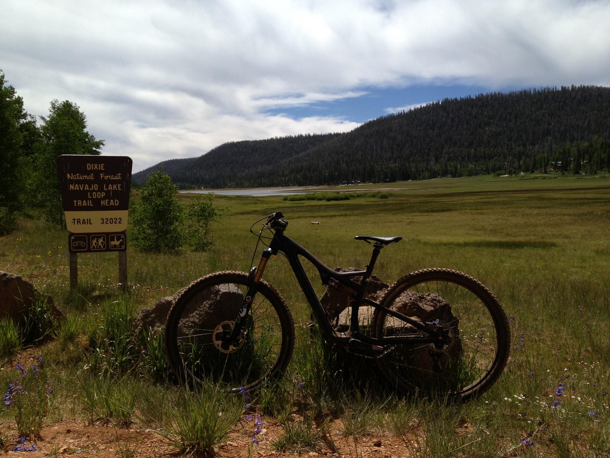 Specialized Stumpjumper: A mountain bike leaning against a rock in front of a sign that reads "Dixie National Forest - Navajo Lake Loop Trail Head." The background features a lush green meadow, a lake, and rolling hills under a cloudy sky. Wildflowers are present in the foreground, adding color to the scene.