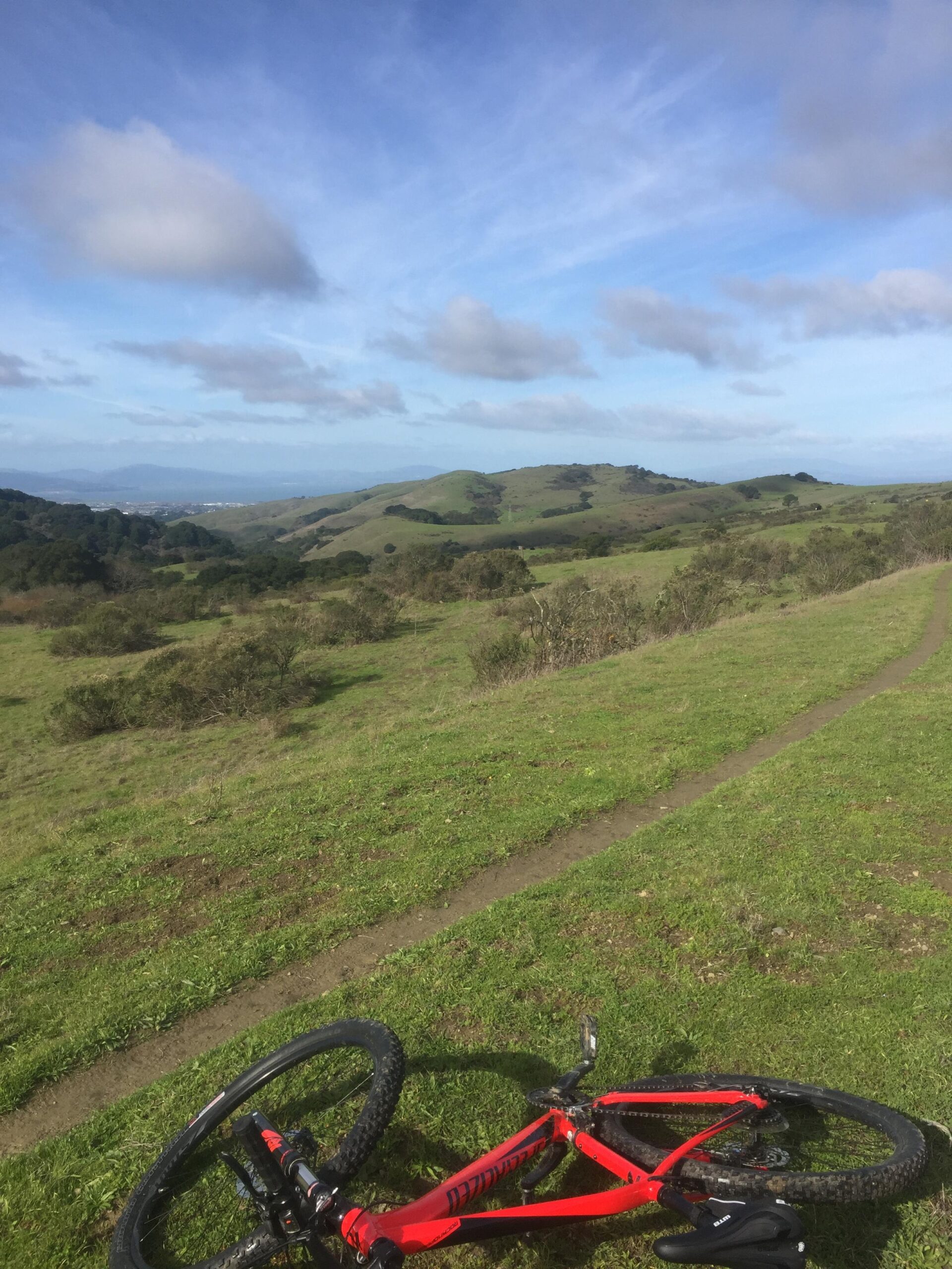 Specialized Rockhopper Comp 29: A mountain bike rests on a grassy hillside, with rolling green hills and a blue sky in the background. Fluffy clouds drift across the sky, completing a scenic outdoor landscape.