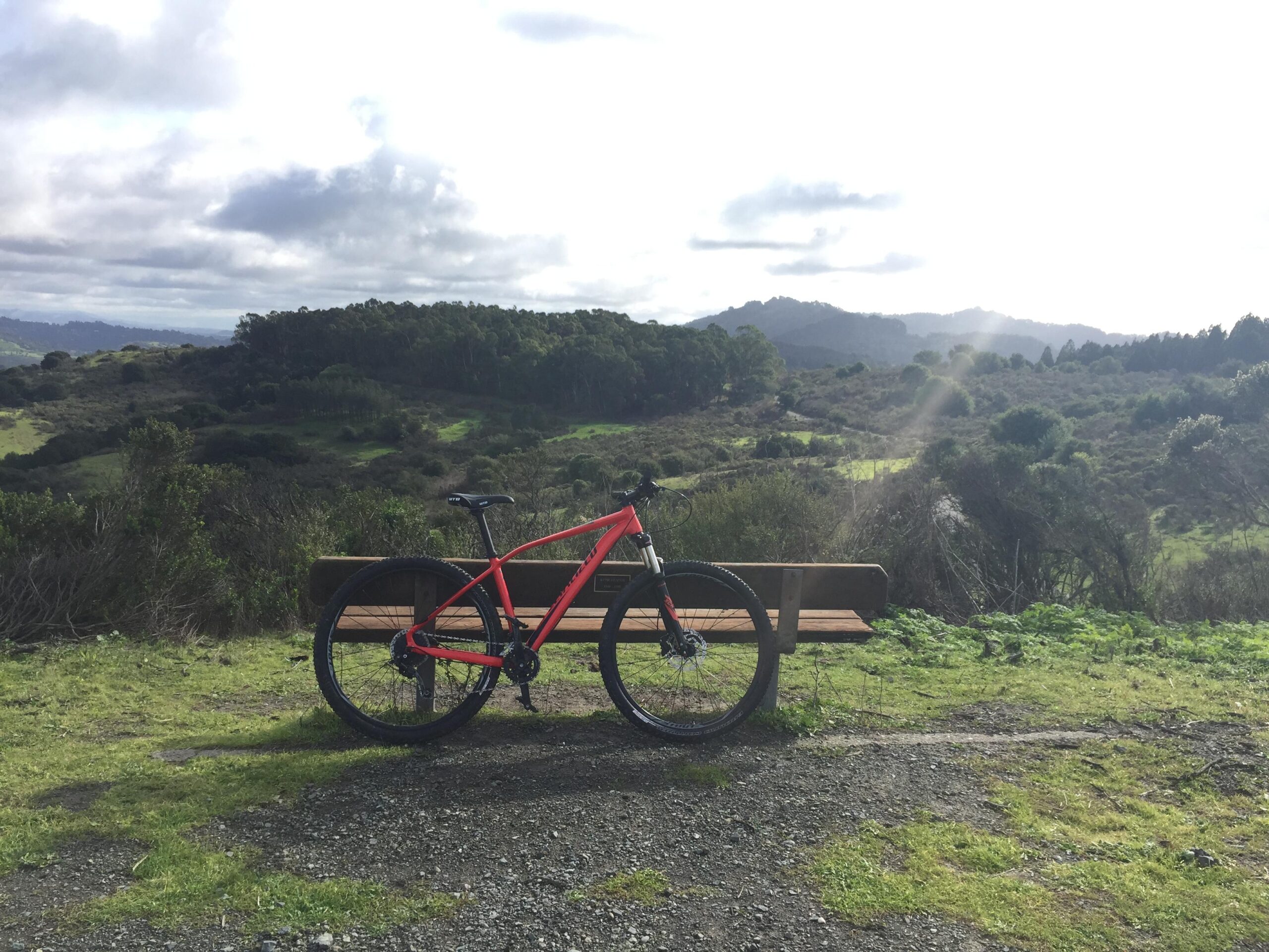 Specialized Rockhopper Comp 29: A vibrant red mountain bike is parked on a wooden bench, set against a backdrop of rolling green hills and a partly cloudy sky. The scene conveys a tranquil outdoor atmosphere, perfect for cycling and enjoying nature.