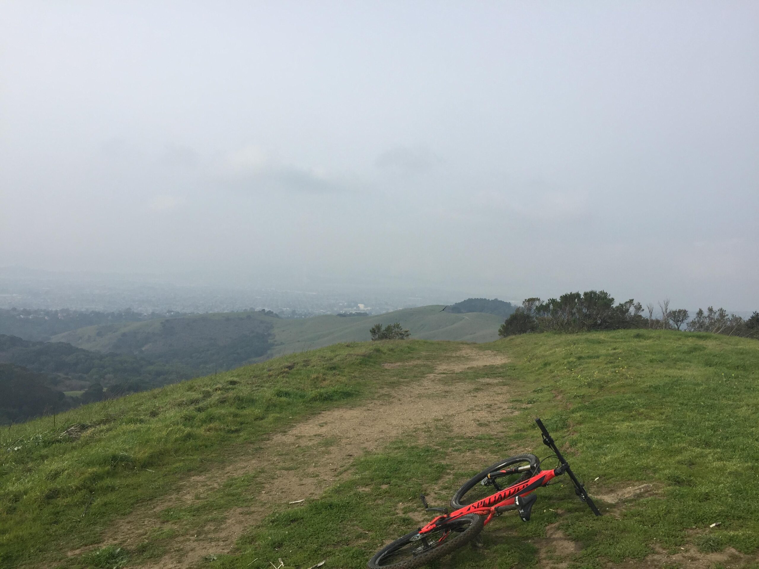 Specialized Rockhopper Comp 29: A mountain bike lies on a grassy hilltop with a view of a hazy landscape in the background, showcasing rolling hills and distant urban areas under a cloudy sky.