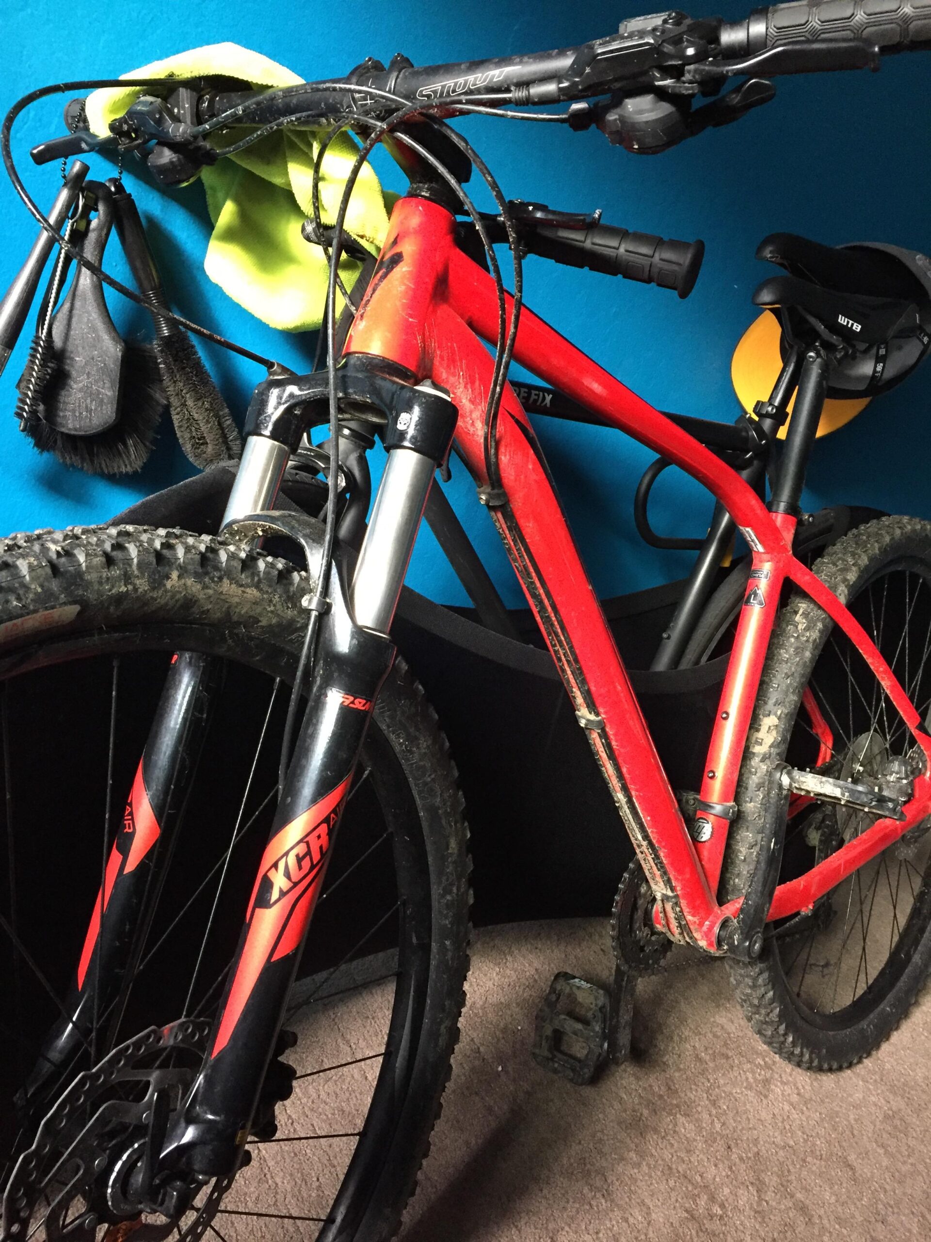 Specialized Rockhopper Comp 29: A close-up view of a red mountain bike with visible dirt on the frame and wheels, positioned indoors against a teal wall. The bike features black suspension forks and has maintenance tools, including brushes and a bright yellow towel, hanging nearby. A black storage bin is partly visible in the background.