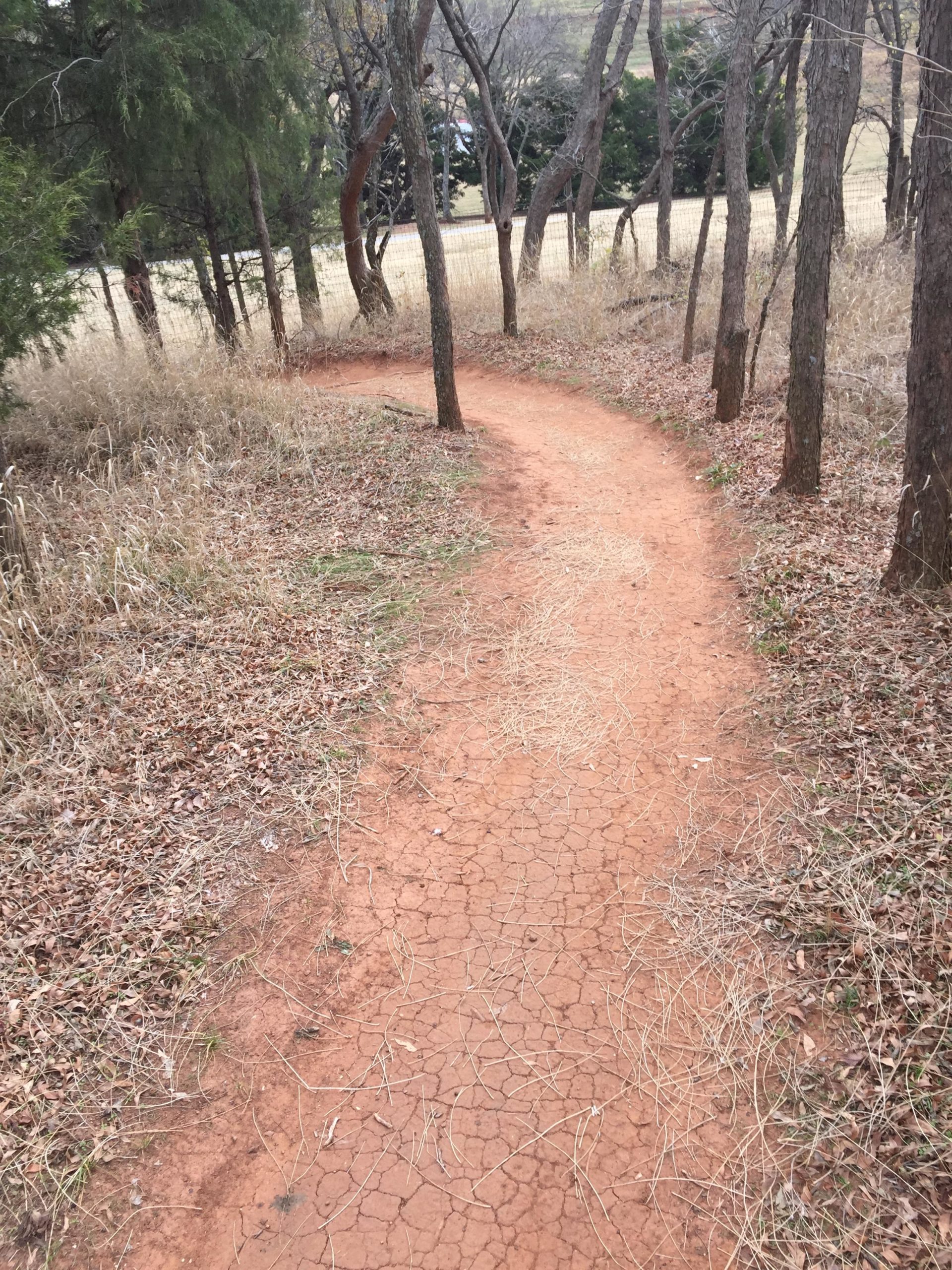 A winding dirt path surrounded by trees and tall grasses, leading through a natural landscape with a dry and cracked earth surface. Bluff Creek Trail mountain bike trail.