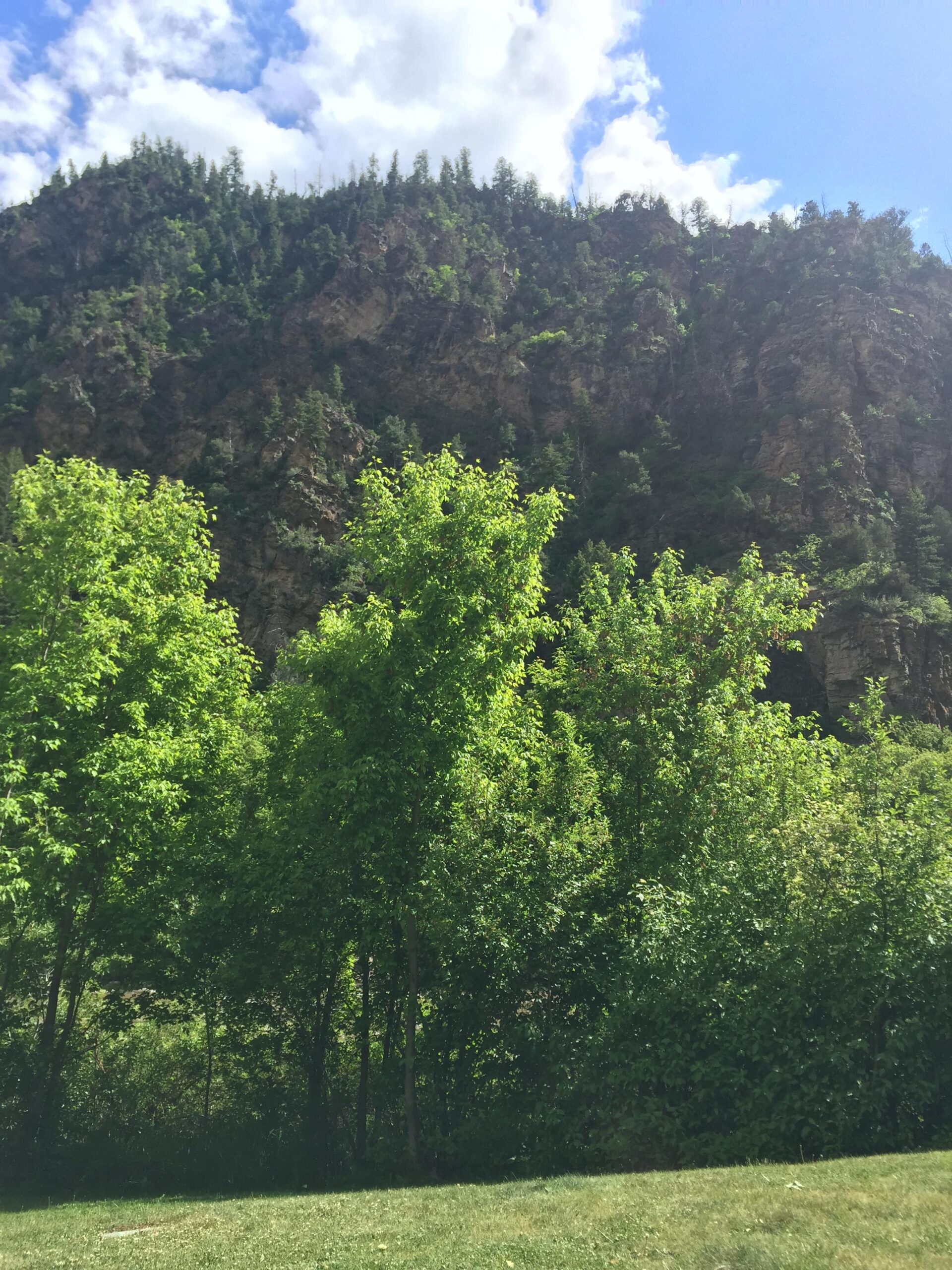 Scott Genius Plus: A scenic view of a rocky mountain landscape with green trees in the foreground and a clear blue sky dotted with clouds. The mountain features rugged cliffs and a variety of foliage, indicating a lush, natural environment.
