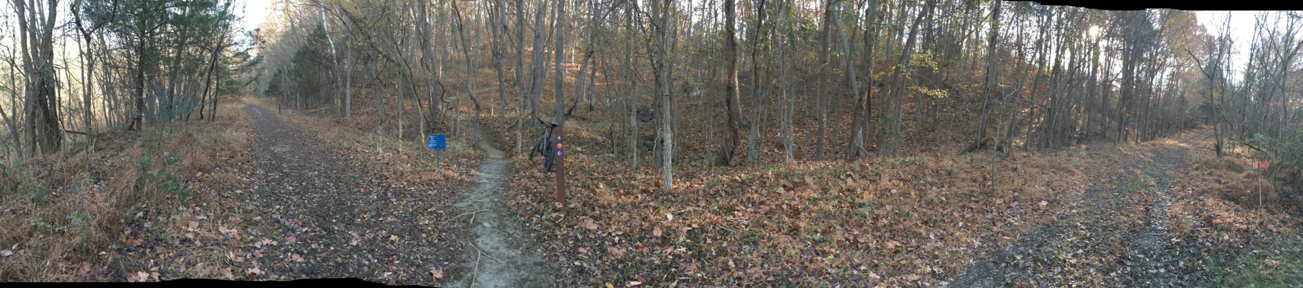 A panoramic view of a forested trail intersecting with another path. Dry leaves cover the ground amidst sparse vegetation. A signpost with a blue informational sign and a red marker is visible beside the trail. The scene captures a quiet, natural landscape during autumn, with trees showing limited foliage. Angler's Ridge mountain bike trail.