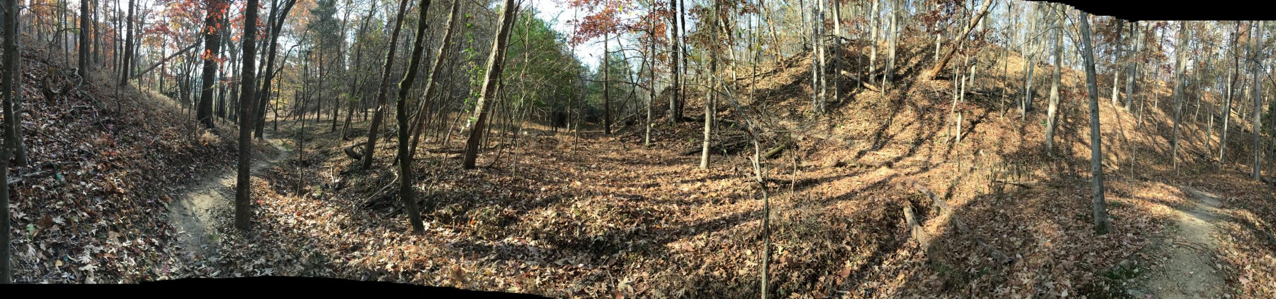 A panoramic view of a wooded landscape showcasing a trail winding through a forest. The scene features trees with autumn foliage, scattered fallen leaves covering the ground, and a gentle slope in the background. Bright sunlight filters through the branches, highlighting the peacefulness of the natural setting. Angler's Ridge mountain bike trail.