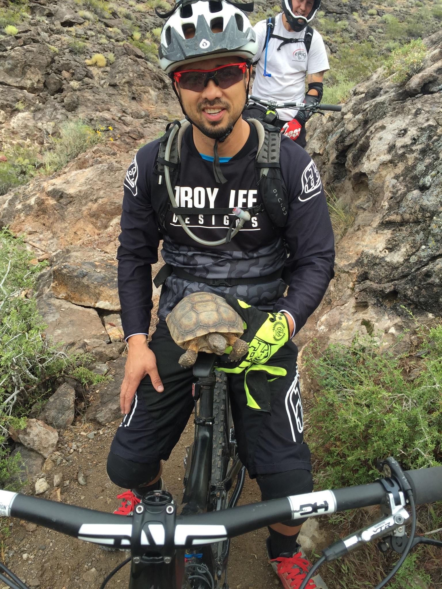 Specialized Stumpjumper: A mountain biker wearing a helmet and sunglasses is sitting on a bicycle, holding a tortoise on the bike seat. The background features rocky terrain and sparse vegetation typical of a biking trail. Another cyclist, dressed in a white shirt, is visible in the background.