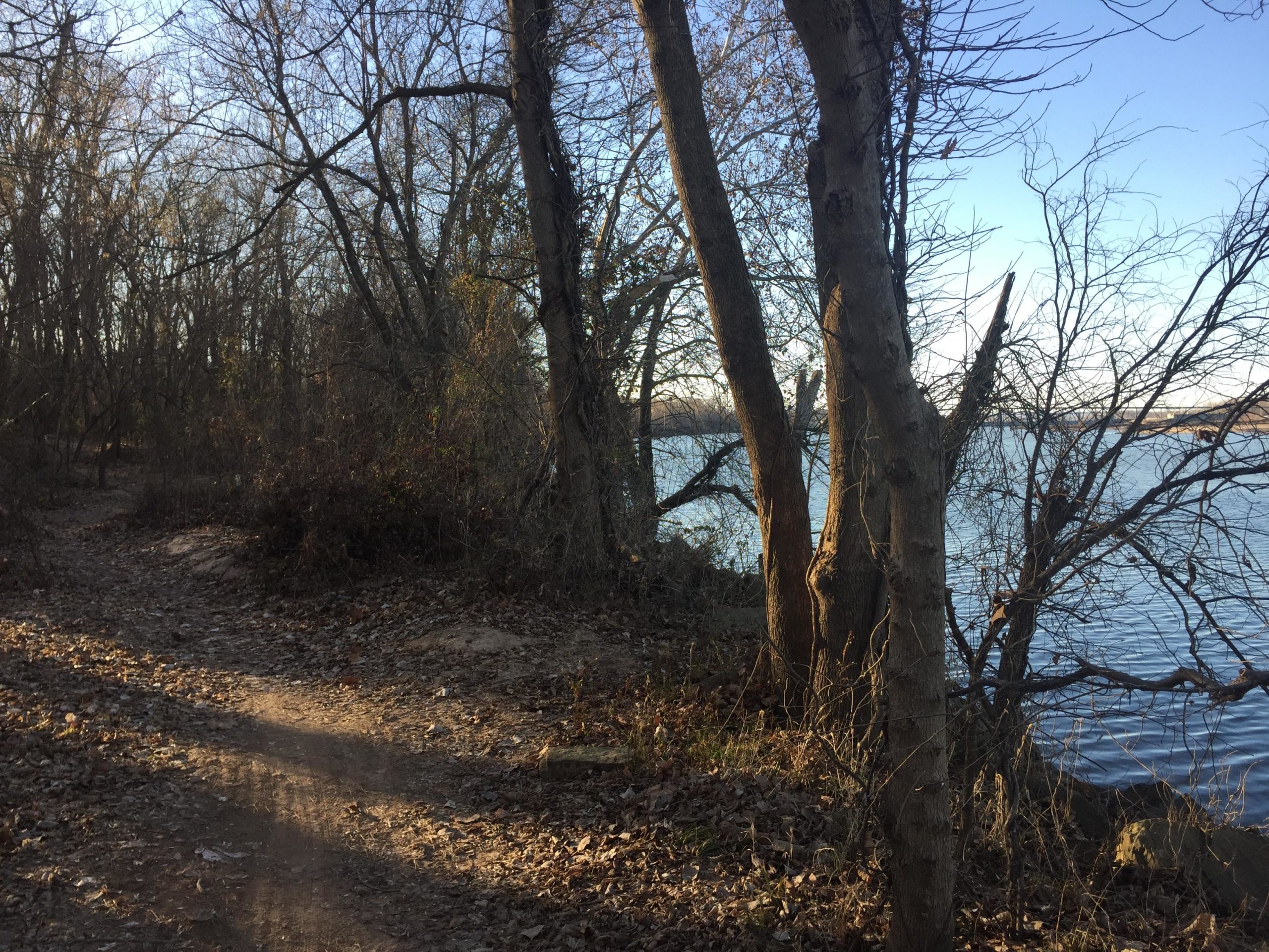 A peaceful riverside scene featuring a dirt path lined with bare trees. The path winds through a landscape of fallen leaves, leading to the edge of a calm body of water under a clear blue sky. Springhill Park mountain bike trail.
