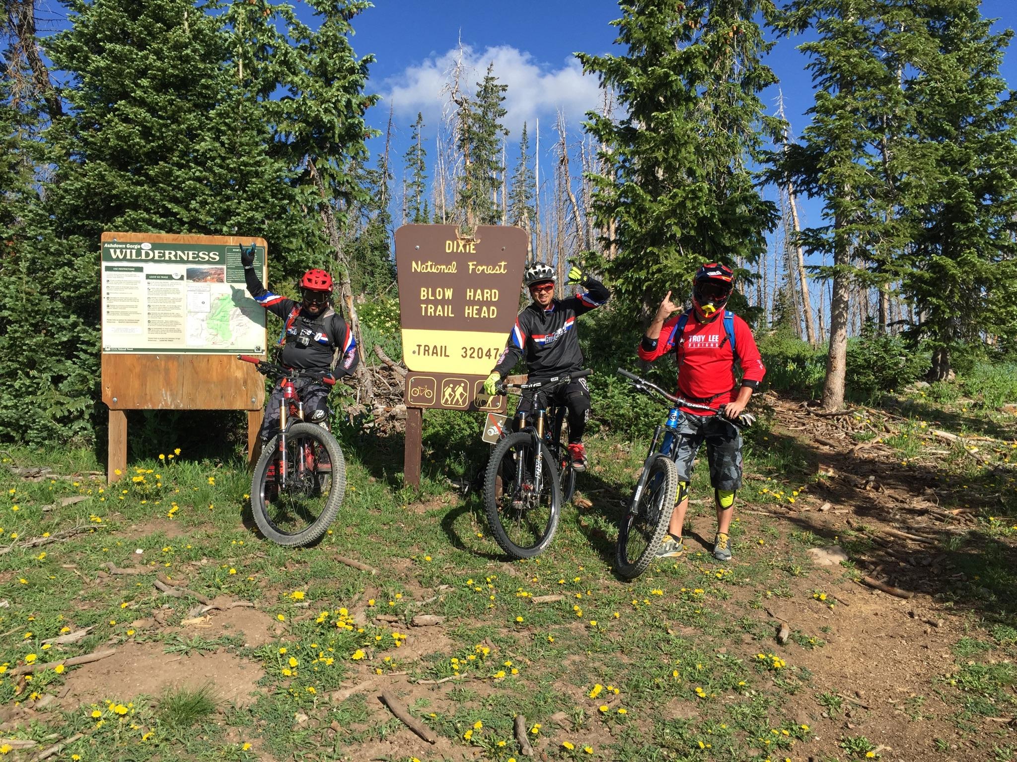 Specialized Stumpjumper: Three mountain bikers pose at the Blow Hard Trailhead in the Dixie National Forest. They are dressed in biking gear, including helmets and padded jerseys, and standing in front of a trail sign that provides information about the area. Lush greenery and wildflowers surround them, with a blue sky above. One biker is pointing at the trail map while the others wave enthusiastically.