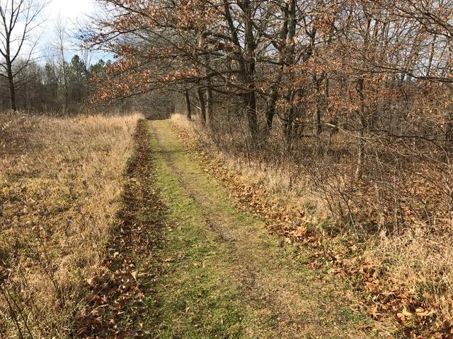 A peaceful dirt path winding through a grassy area with scattered fallen leaves, bordered by bare trees in a natural setting under a clear sky. River Bend Nature Center Trails mountain bike trail.