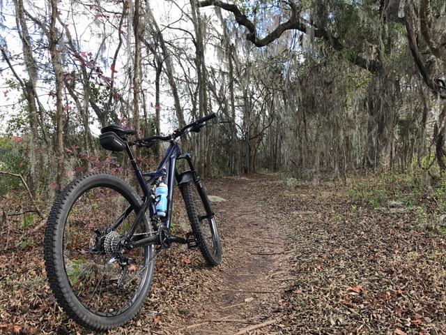 A mountain bike positioned on a dirt trail surrounded by trees draped in Spanish moss. The scene captures a serene and untouched nature setting, with scattered leaves on the ground and foliage in the background. San Felasco Hammock Preserve mountain bike trail.
