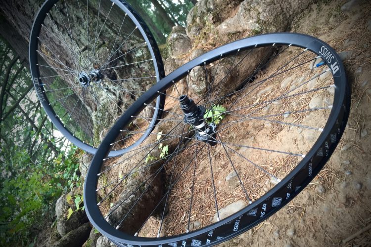 Two mountain bike wheels are positioned on a forest floor, resting against a large tree trunk. The wheels feature black rims and spokes, with visible logos. The ground is covered in pine needles and small stones, surrounded by greenery.