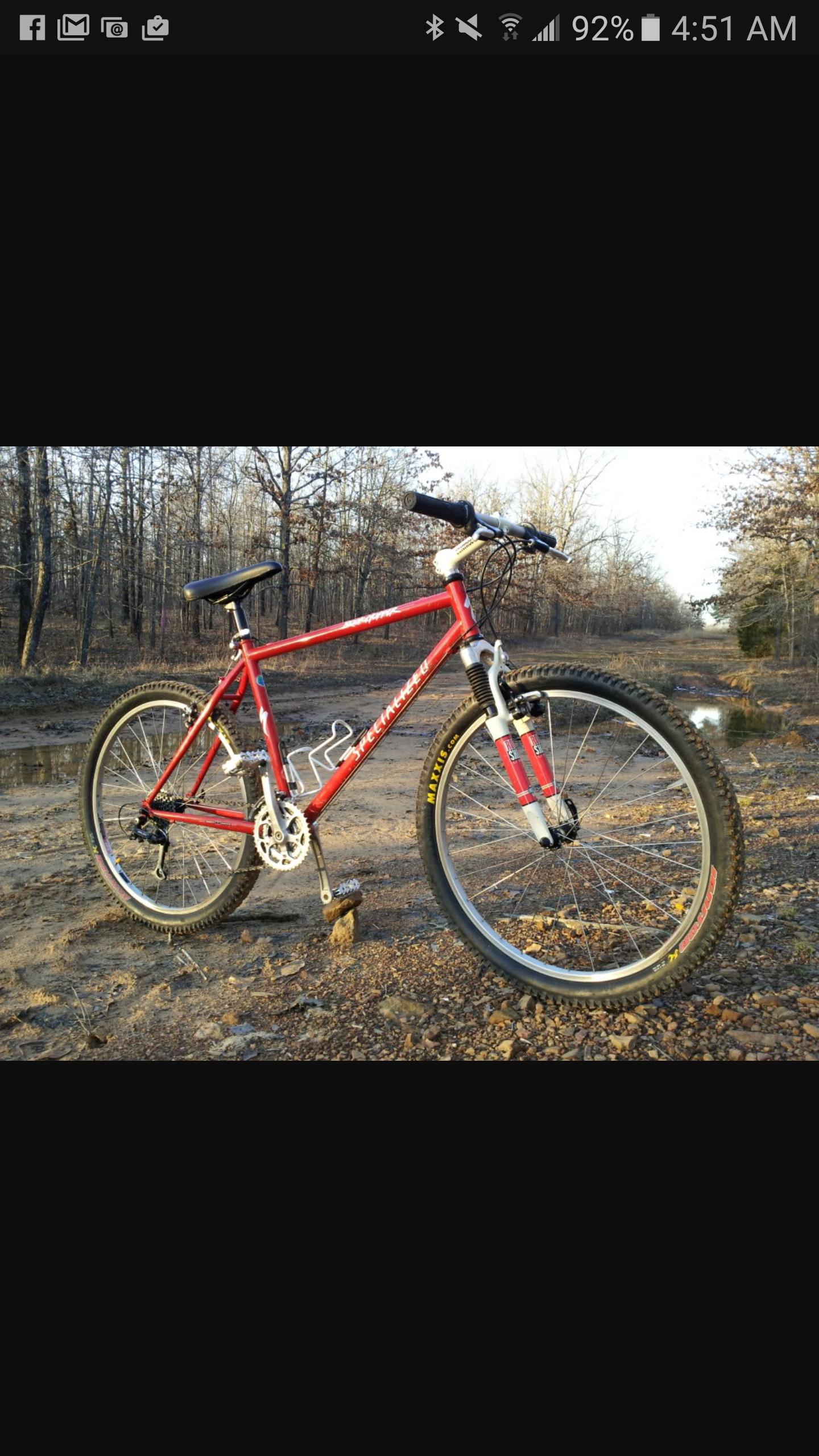 Specialized Rockhopper: A red mountain bike rests on a rocky terrain with a blurred forest setting in the background. The bike features front suspension and knobby tires, indicating its off-road capability. Small puddles are visible on the ground, reflecting the environment.