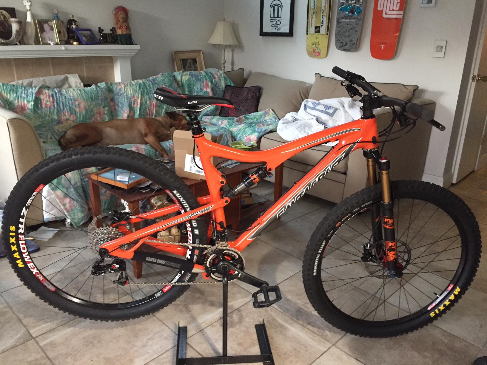 Santa Cruz Tallboy Carbon: A bright orange mountain bike is positioned on a repair stand in a living room. The bike features large tires and a sleek frame. In the background, a brown dog is lounging on a floral-patterned couch, surrounded by cozy decor, including a coffee table with various items. The wall displays skateboard decks and framed art, creating a casual home atmosphere.