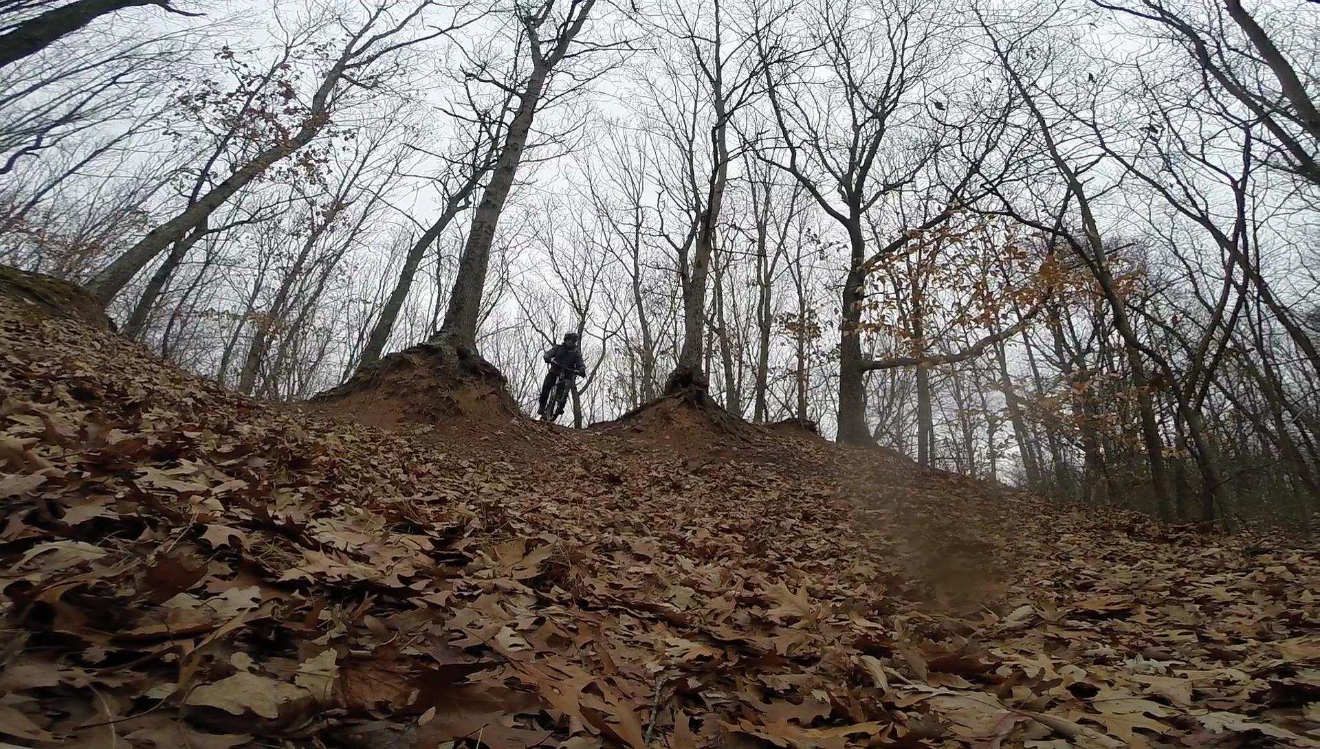A mountain biker navigating a forested trail covered in fallen leaves, with bare trees in the background and an overcast sky. Long Pond mountain bike trail.