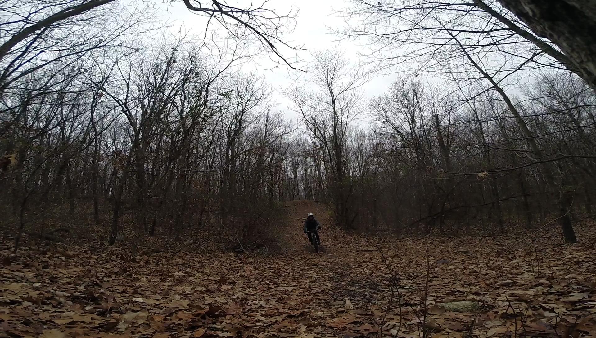 A mountain biker rides along a leaf-covered trail in a dense, deciduous forest on a cloudy day. Barren trees line the path, creating a serene autumn atmosphere. Long Pond mountain bike trail.