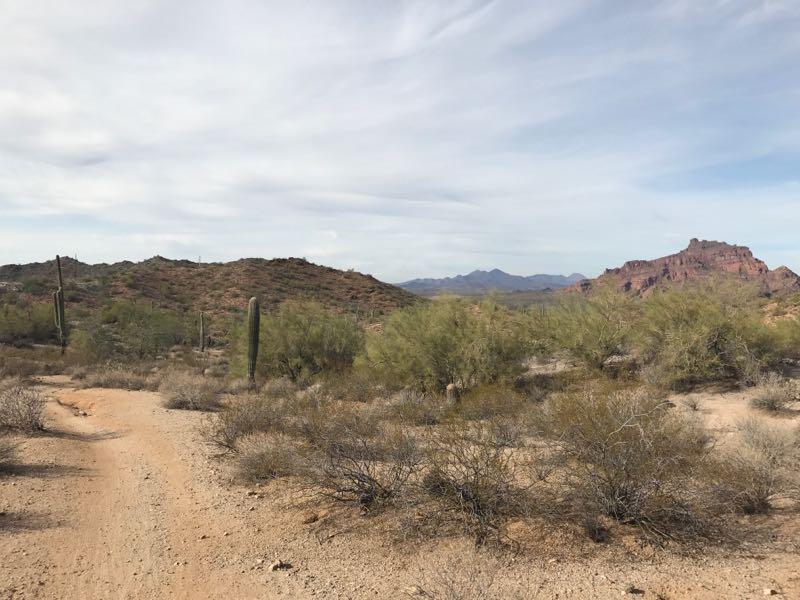 A dusty trail winding through a desert landscape, surrounded by sparse vegetation, including cacti and shrubs. In the background, rolling hills and mountains are visible under a cloudy sky. The scene captures the natural beauty of a southwestern desert environment. Hawes Loop mountain bike trail.