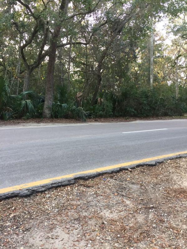 A view of a quiet, tree-lined road with a worn asphalt surface and a yellow line marking the edge. On one side, the road is bordered by dense vegetation, including tall trees and shrubs, creating a natural, shaded atmosphere. The ground is covered with leaves and small stones, indicating a rural or wilderness setting. Kathryn Abby Hanna Park mountain bike trail.