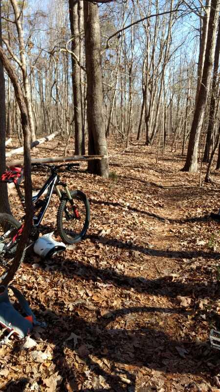 A mountain bike resting on a path surrounded by bare trees and fallen leaves in a forest during autumn. The trail winds through the woods, with a clear blue sky visible above. Chicopee Woods mountain bike trail.