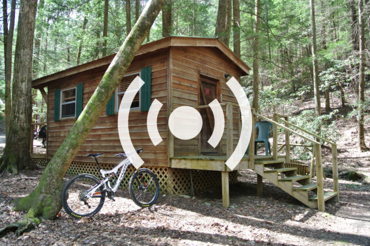 A wooden cabin surrounded by trees, featuring green shutters and a small porch with stairs. A mountain bike is parked next to the cabin, which is situated in a natural, wooded setting with fallen leaves on the ground.