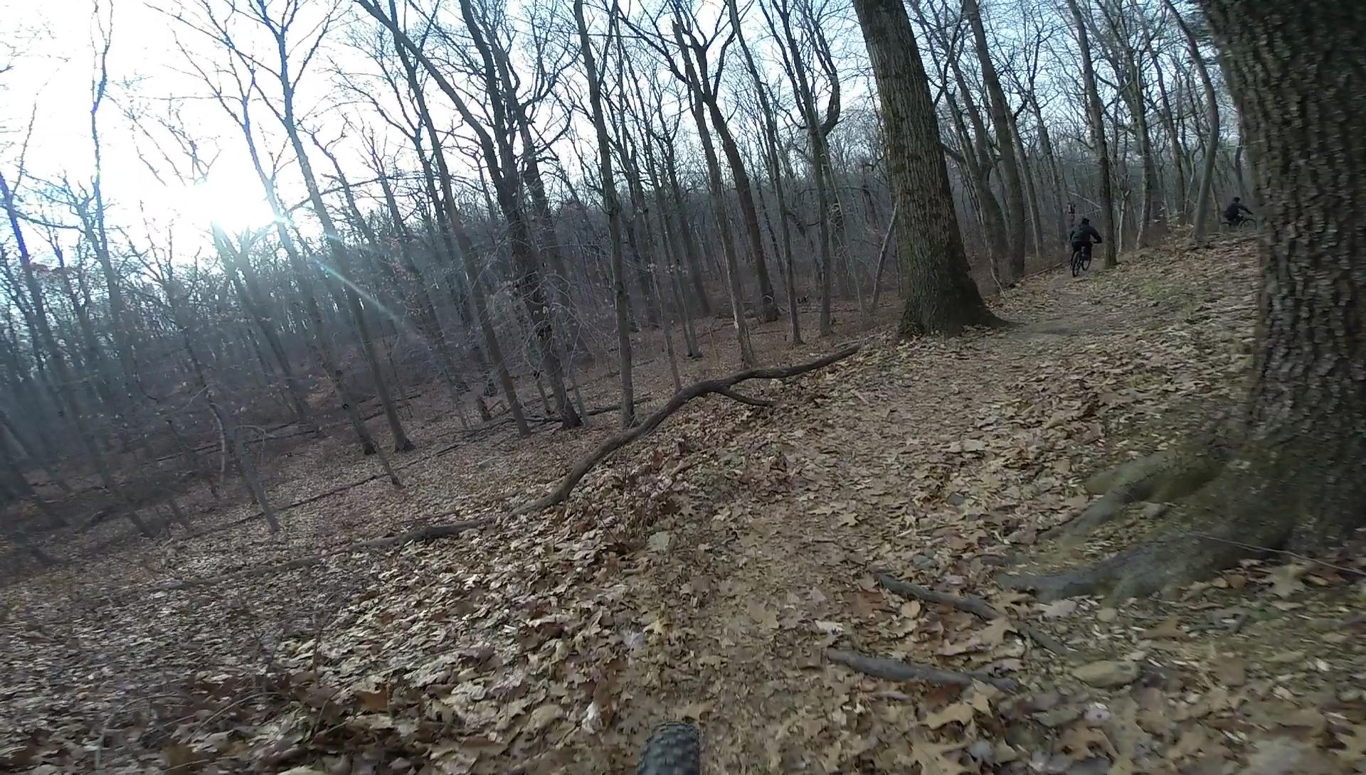 A narrow dirt trail winding through a deciduous forest, covered with fallen leaves and framed by bare trees. The sun shines through the branches in the background, while a mountain biker can be seen navigating the path. Lewis Morris mountain bike trail.