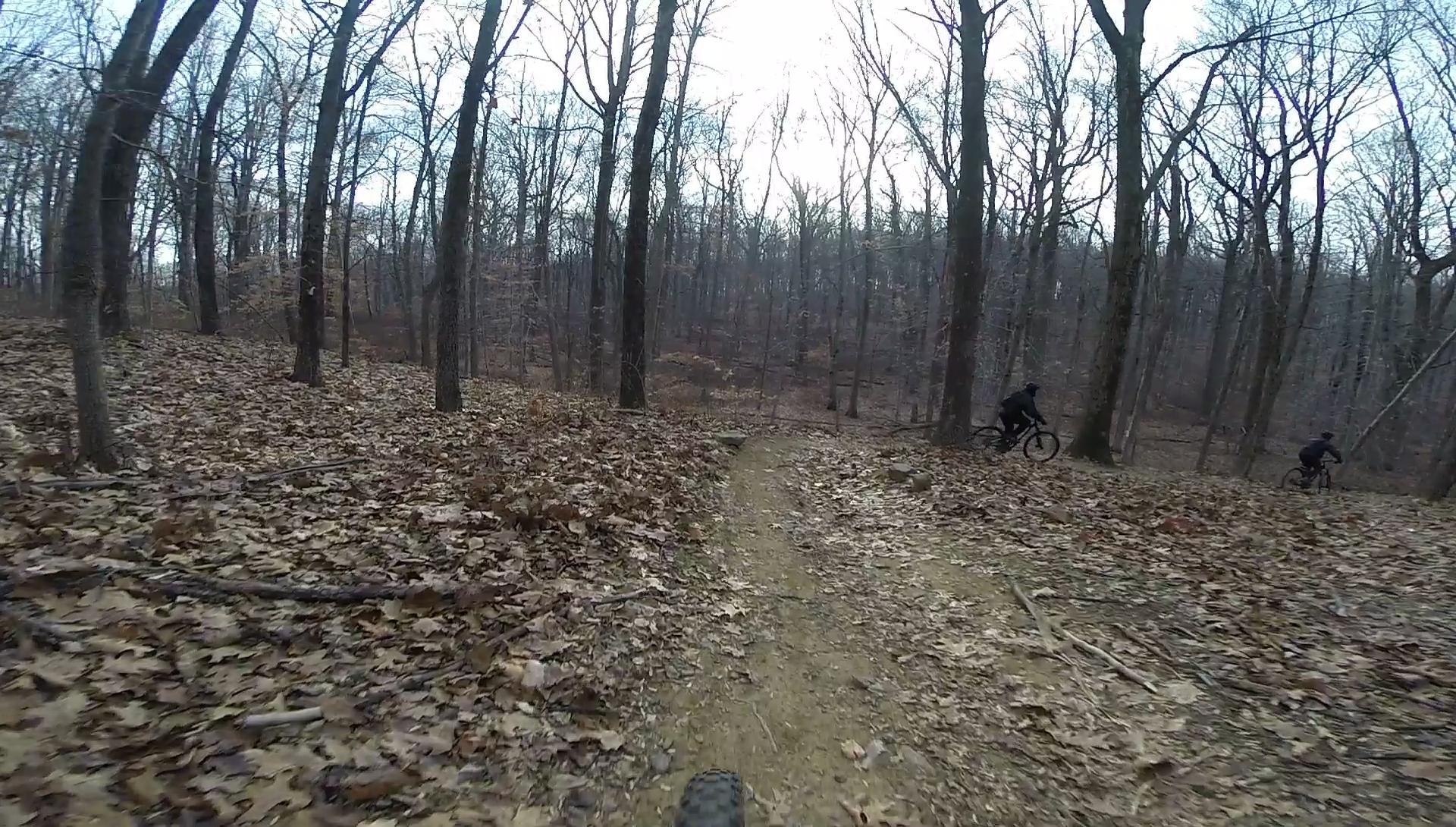 A forested area with bare trees in a winter setting, featuring a dirt trail covered with fallen leaves. Two mountain bikers can be seen riding along the path, surrounded by the natural landscape. The scene is slightly overcast, enhancing the quiet, serene atmosphere of the woods. Lewis Morris mountain bike trail.