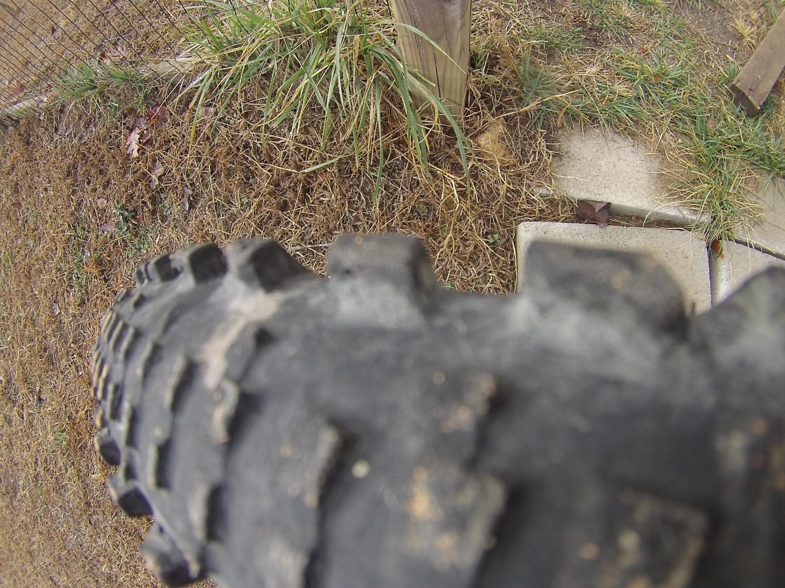 Specialized Slaughter: A close-up view of a textured tire tread positioned at an angle, with grassy ground and a fence in the background.
