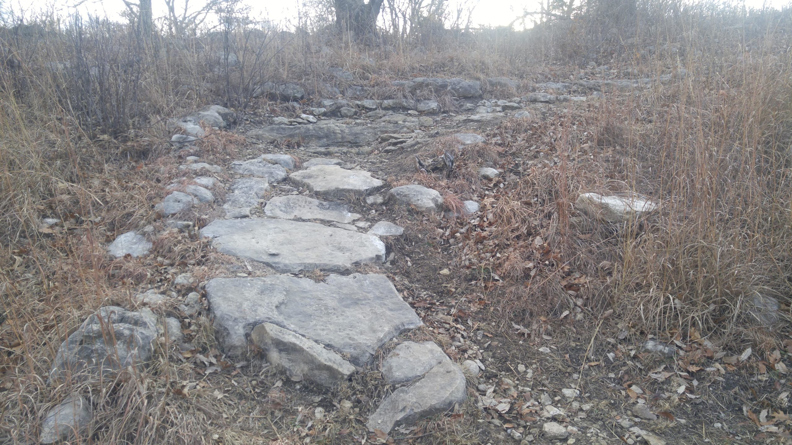 A winding stone pathway surrounded by dry grasses and scattered leaves, leading up a gently sloping terrain. In the background, trees are visible, and the landscape appears natural and unmaintained. Camp Horizon mountain bike trail.