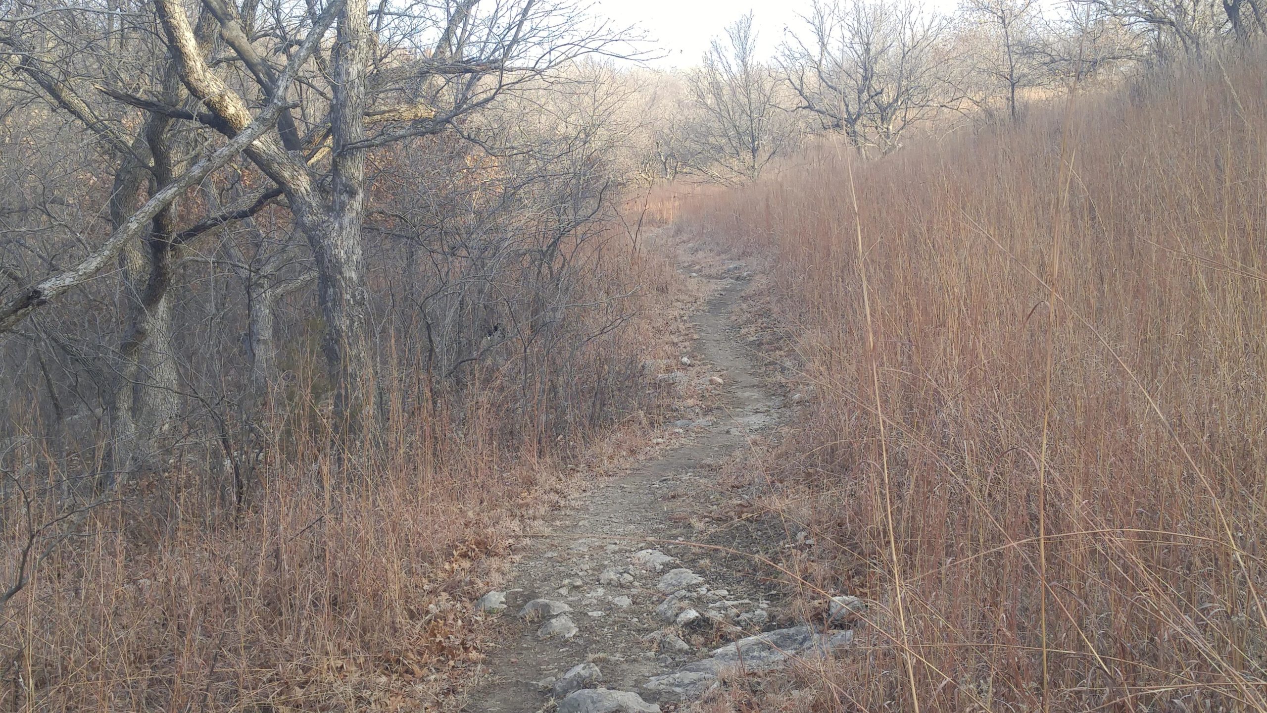 A narrow dirt path winding through a sparse landscape of dry grass and leafless trees, under a clear sky. The scene captures a quiet, natural environment, suggesting a tranquil hike or secluded walk. Camp Horizon mountain bike trail.