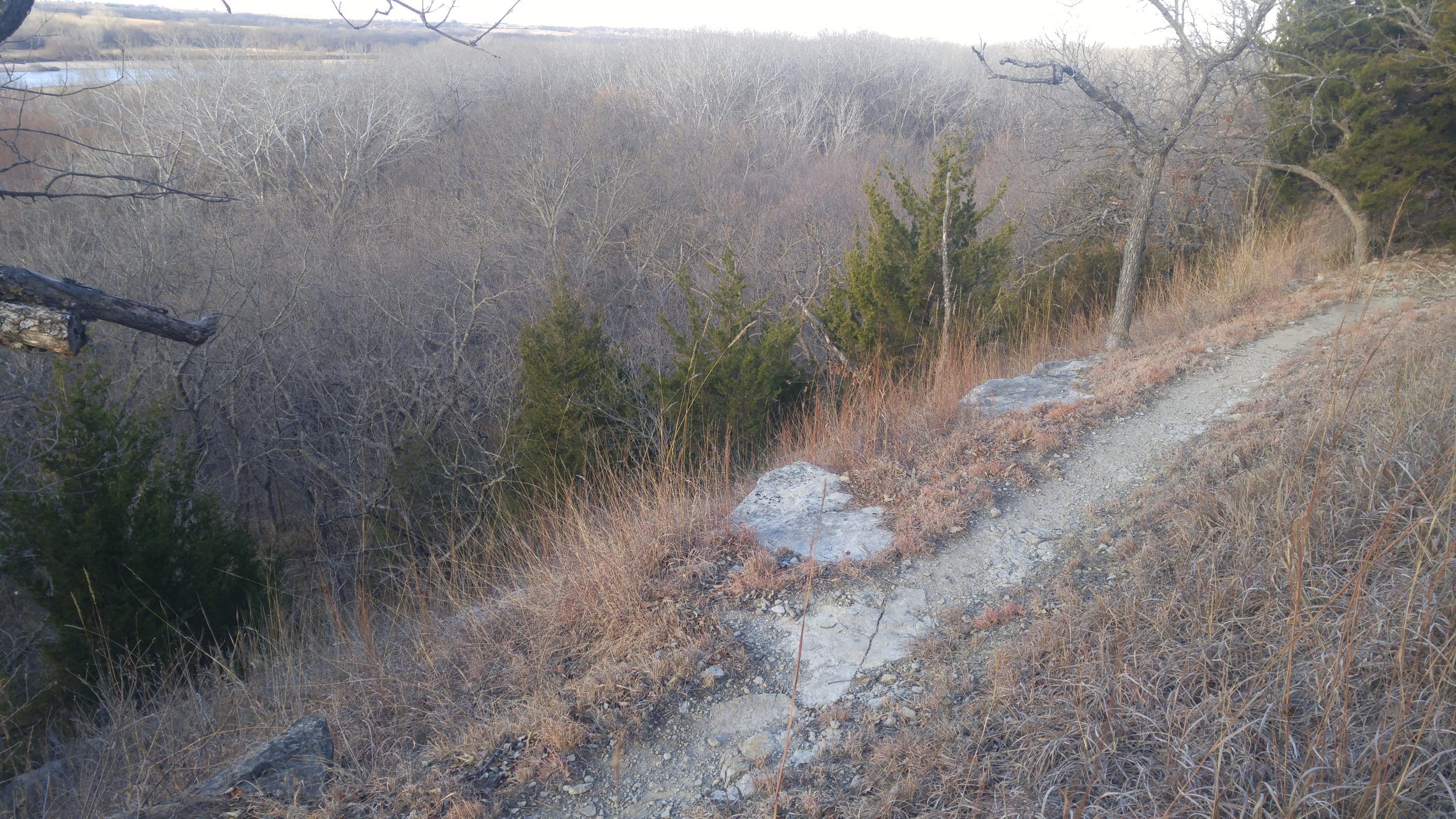 A winding dirt path traverses a sloped edge overlooking a dense, leafless forest. Surrounding the trail are patches of dry grass and rocks, with a few evergreen trees dotting the landscape. In the background, the treetops extend towards the horizon under a clear sky. Camp Horizon mountain bike trail.