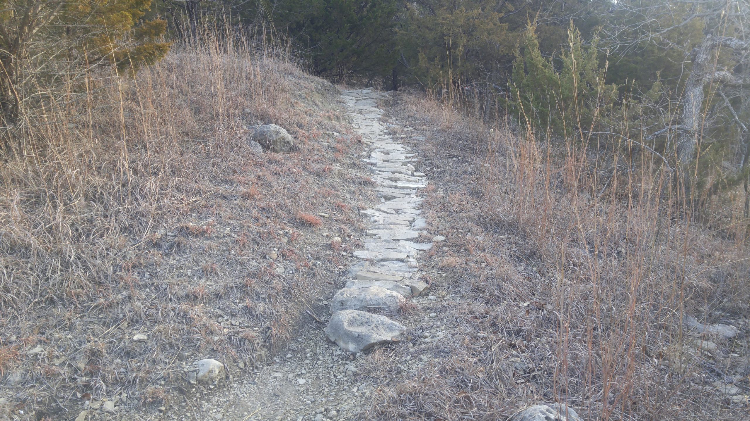 A winding stone path leading through a dry, grassy area with sparse vegetation and some scattered rocks, surrounded by small trees. Camp Horizon mountain bike trail.