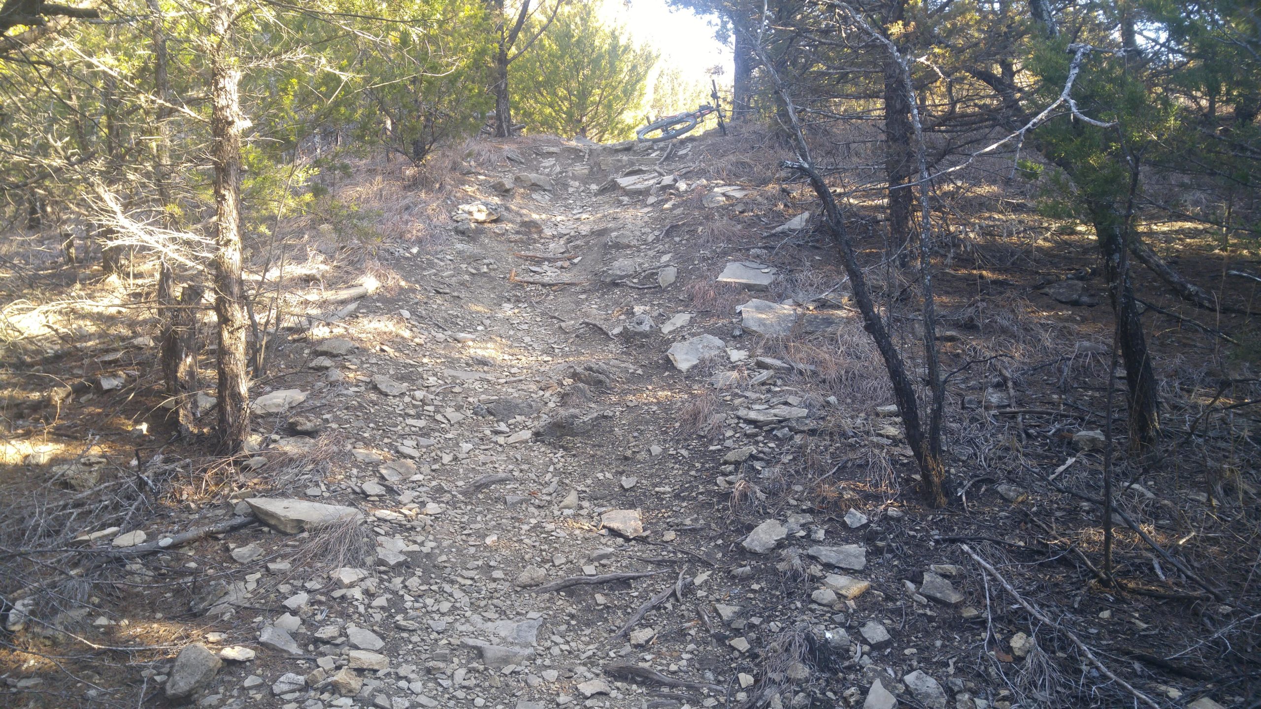 A rocky, dirt trail winding through a wooded area, surrounded by trees and dry foliage. Sunlight filters through the branches, illuminating the path's uneven surface and scattered stones, indicating a natural hiking route. Camp Horizon mountain bike trail.
