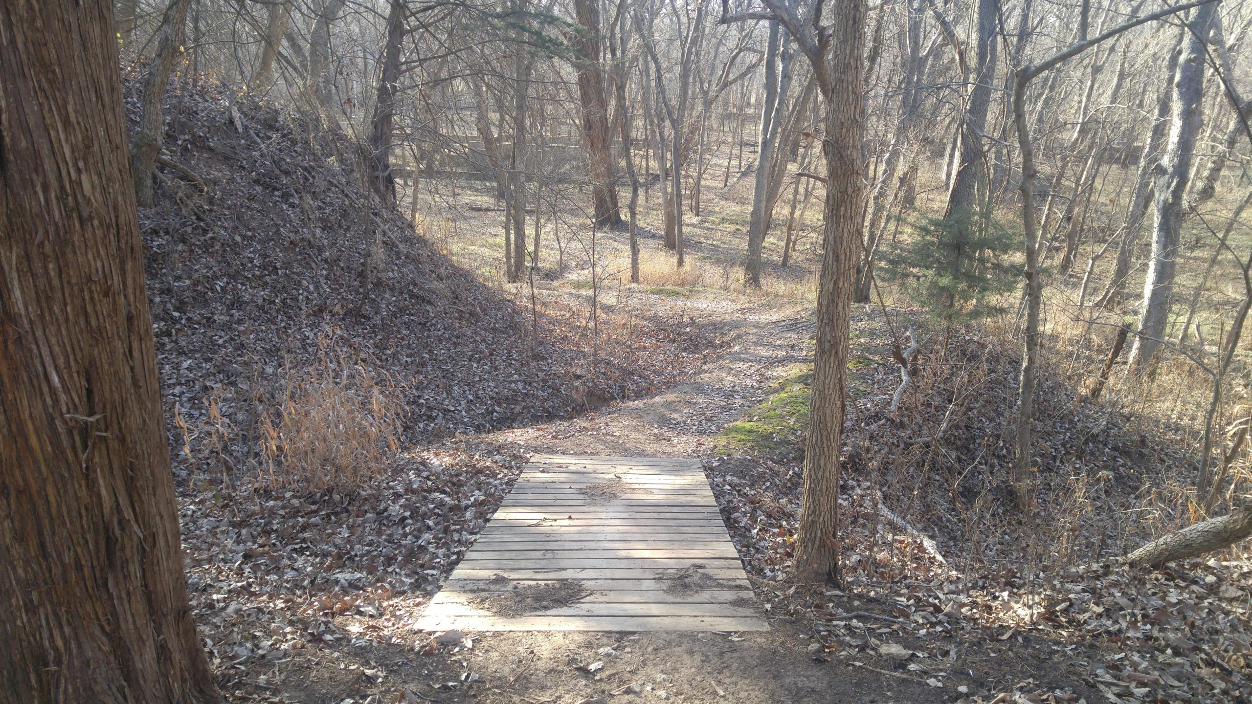 A wooden footbridge crossing a small, leaf-covered path in a wooded area. Surrounding trees are bare, suggesting it is autumn or winter. Brown and yellow foliage lines the trail, with gentle slopes on either side of the path. The scene is calm and quiet, with soft natural lighting filtering through the trees. Camp Horizon mountain bike trail.