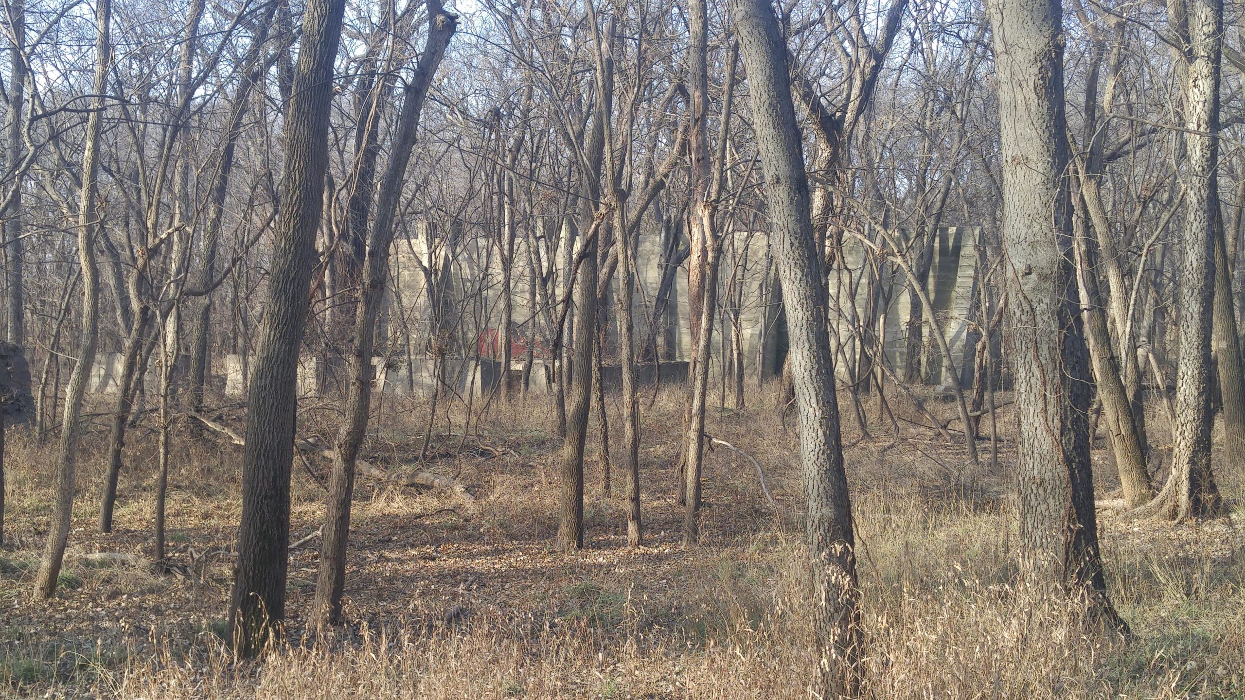 A dense forest scene with bare trees and dry underbrush, featuring the remnants of a concrete structure partially obscured by vegetation in the background. Camp Horizon mountain bike trail.