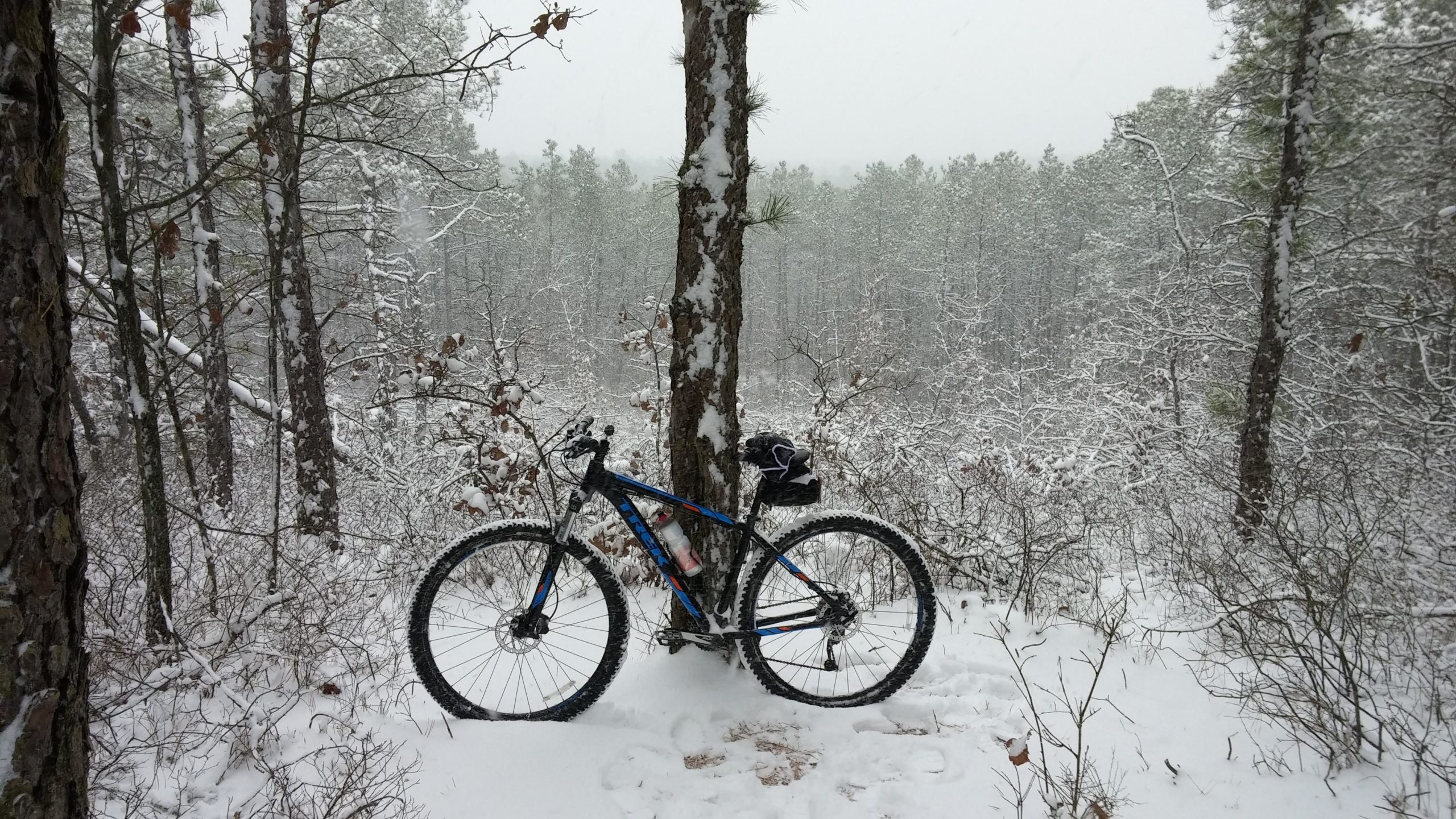 A mountain bike leaning against a tree in a snowy forest, surrounded by snow-covered trees and a frost-laden landscape. The ground is blanketed in snow, and the atmosphere is serene with a light snowfall. Forked River Mountain mountain bike trail.